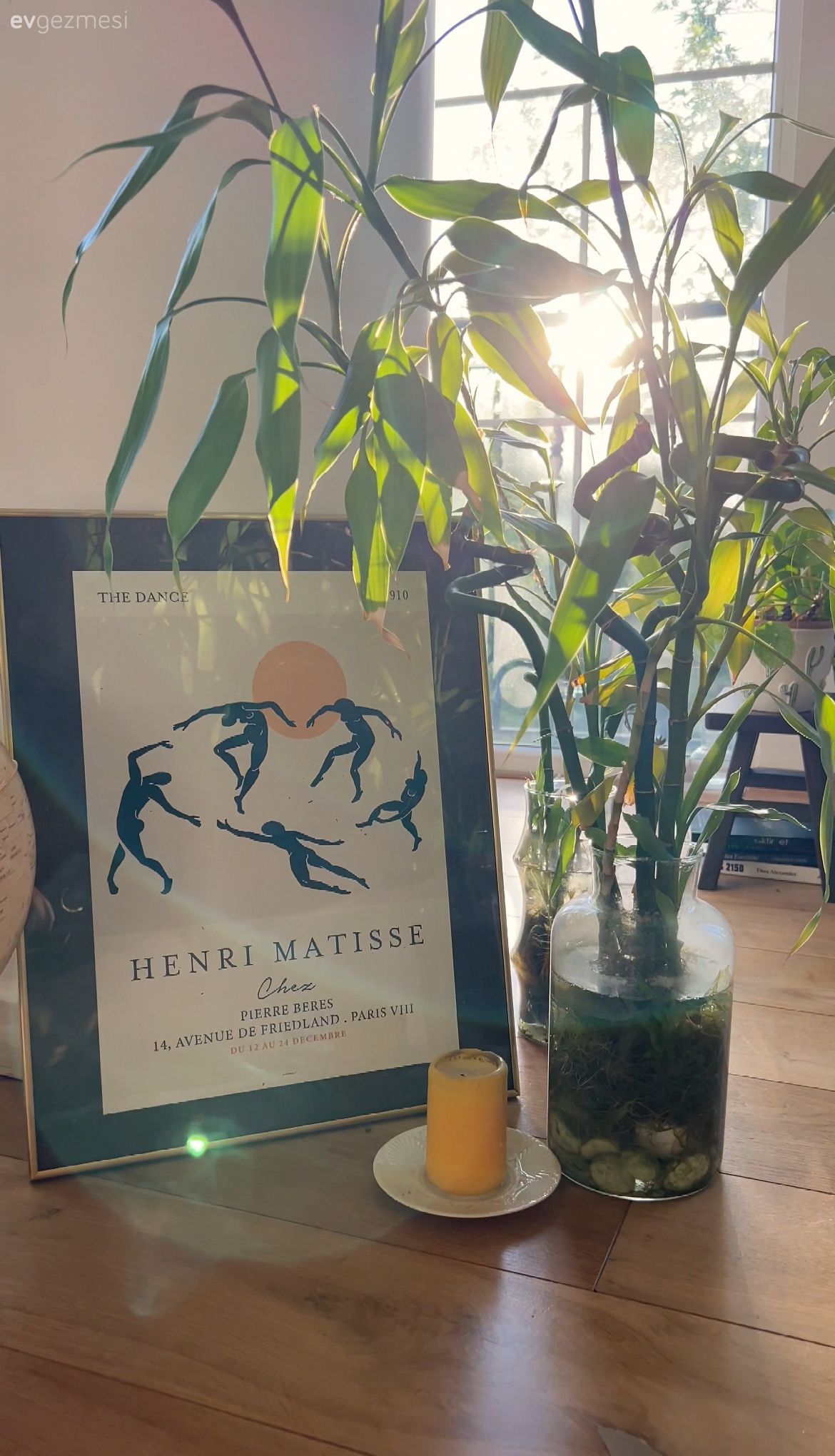 Ev bitkisi, Tablo, Duvar dekorasyonu, Dekoratif Objeler