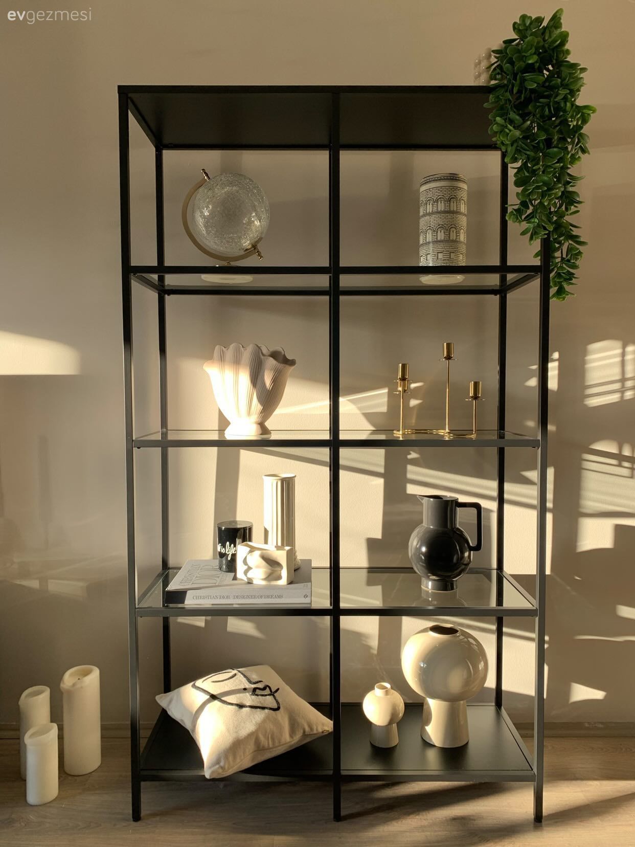 Dekoratif Objeler, Vitrin, Ev bitkisi, Siyah, Beyaz