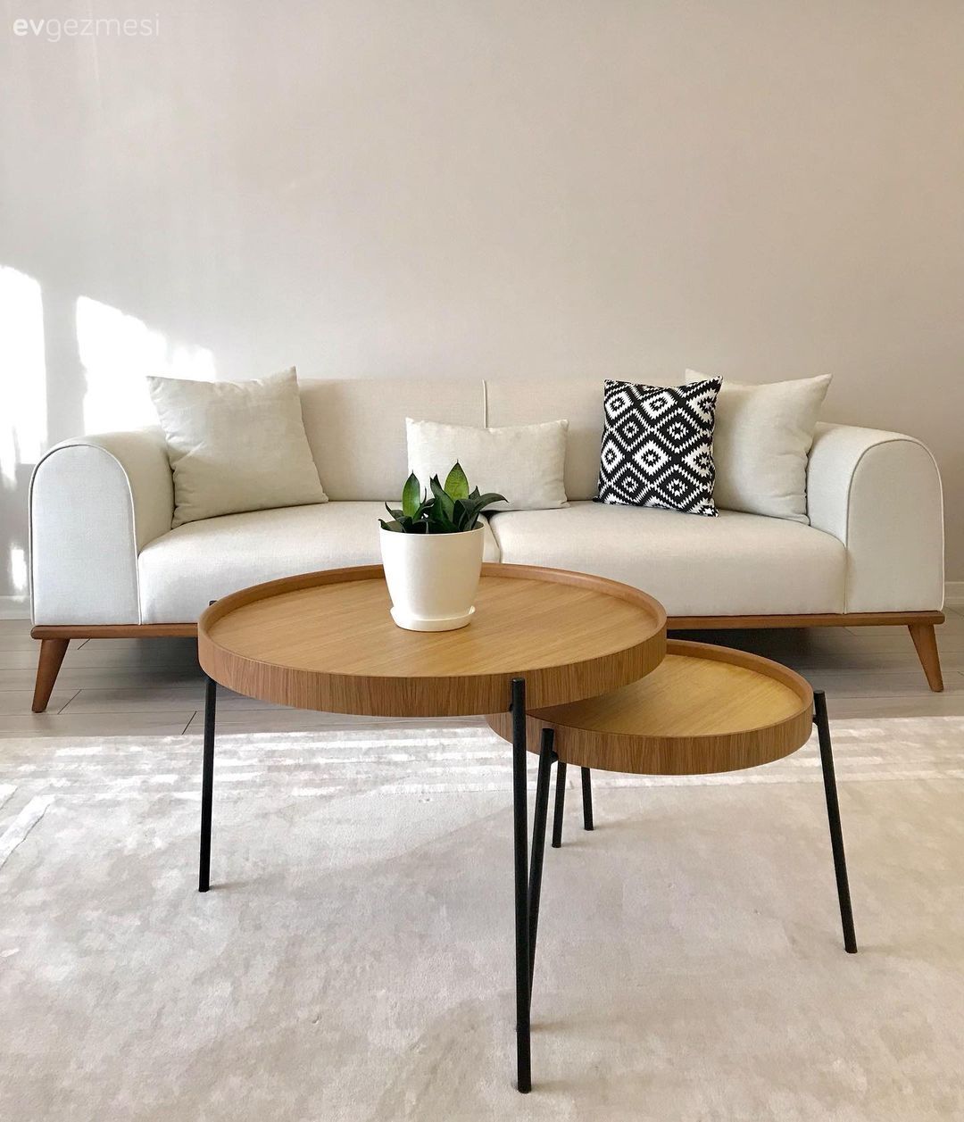 Salon, Modern, Beyaz koltuk, Koltuk takımı, Orta sehpa, Sehpa, Ahşap Mobilya, Halı, Salon halısı, Ev bitkisi, Krem duvar, Siyah, Kırlent, Ev tekstili