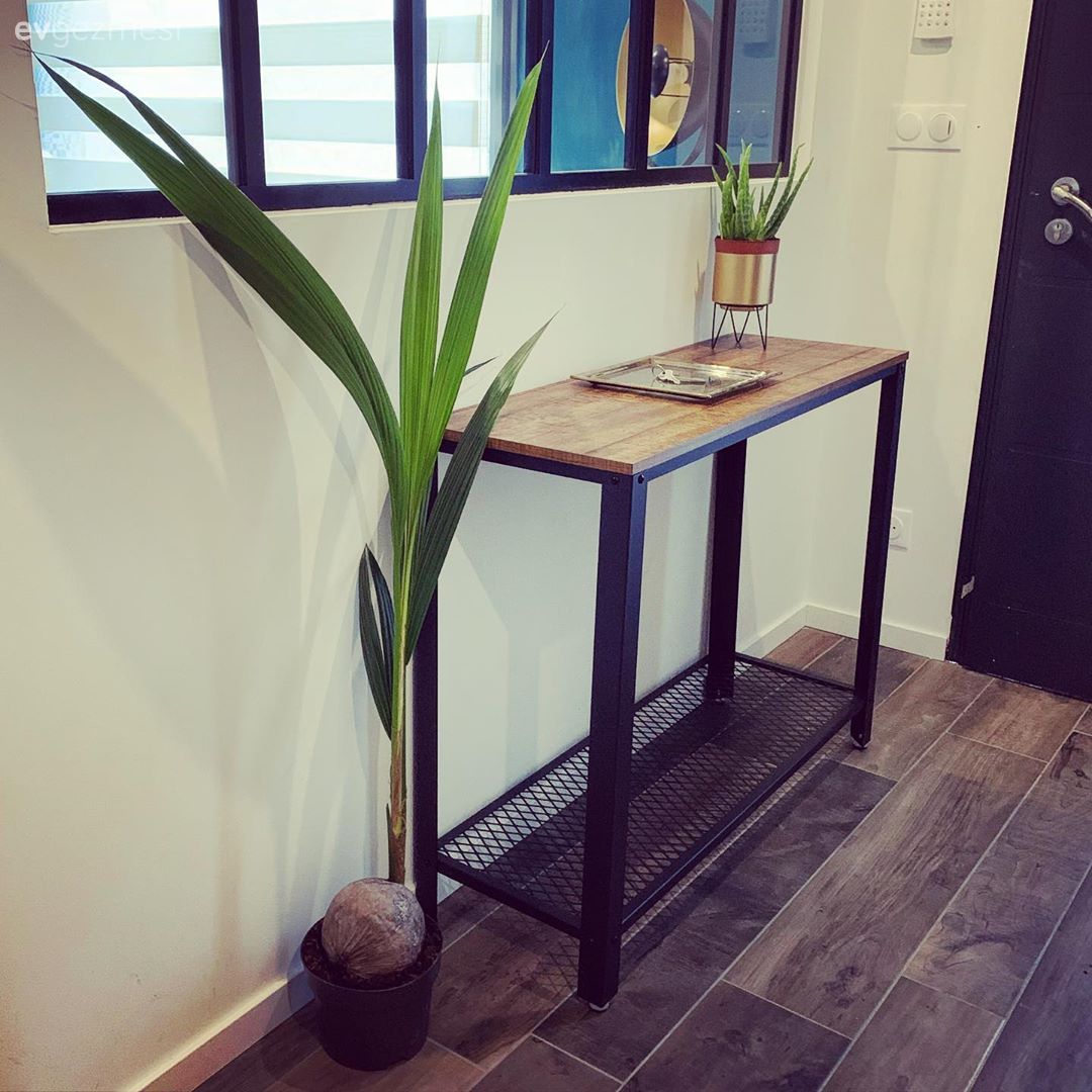 Antre, Dresuar, Saksı, Ev bitkisi, Duvar ayna kaplama, Ayna, Siyah, Mavi, Parke