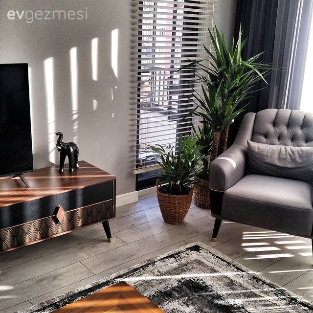 Salon, Berjer, Jaluzi, Beyaz, Tv ünitesi, Ev bitkisi, Halı, Salon halısı