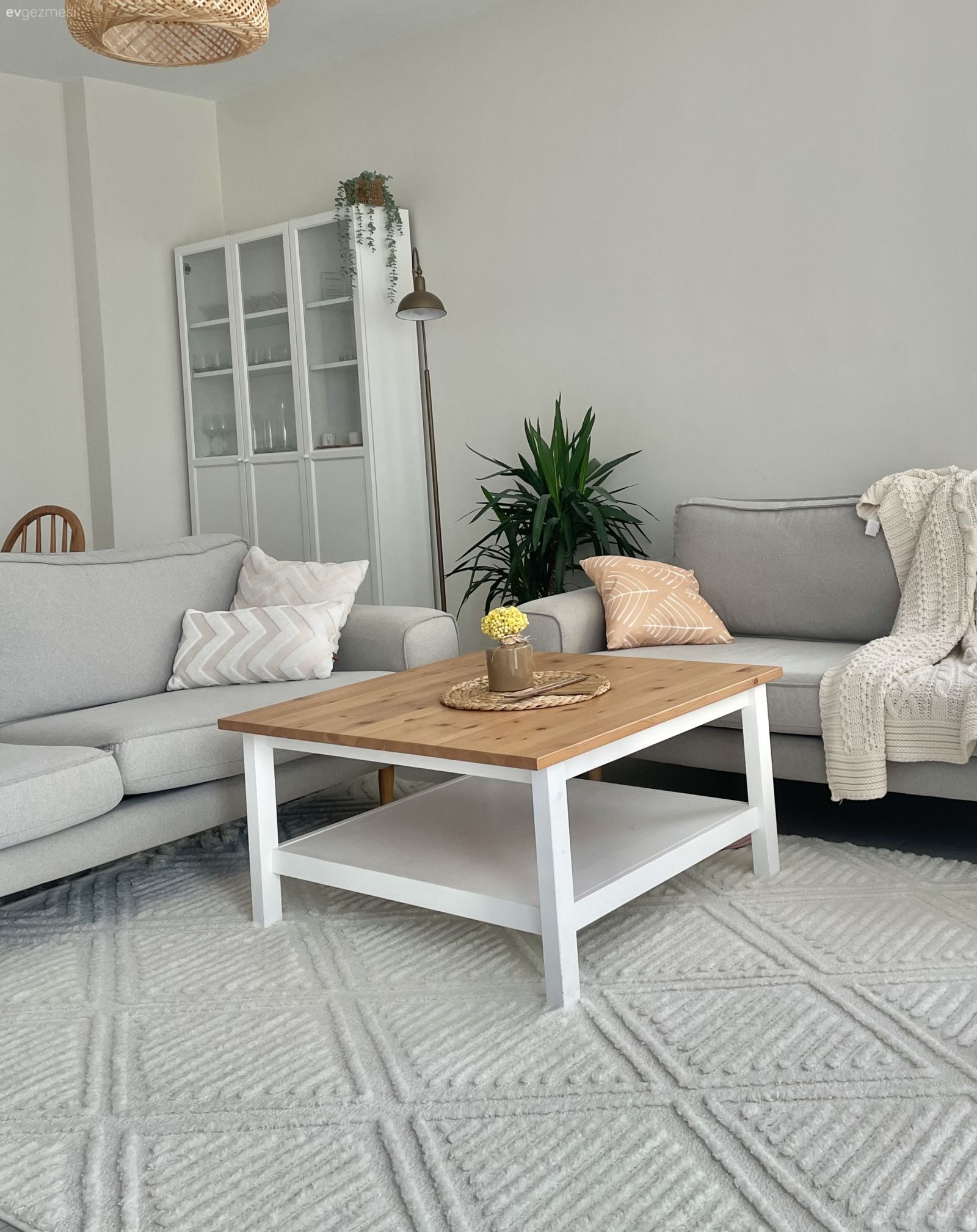 Salon, Koltuk takımı, İskandinav, Orta sehpa, Sehpa, Kırlent, Ev tekstili, Halı, Salon halısı, Hasır avize, Lambader, Aydınlatma, Kitaplık