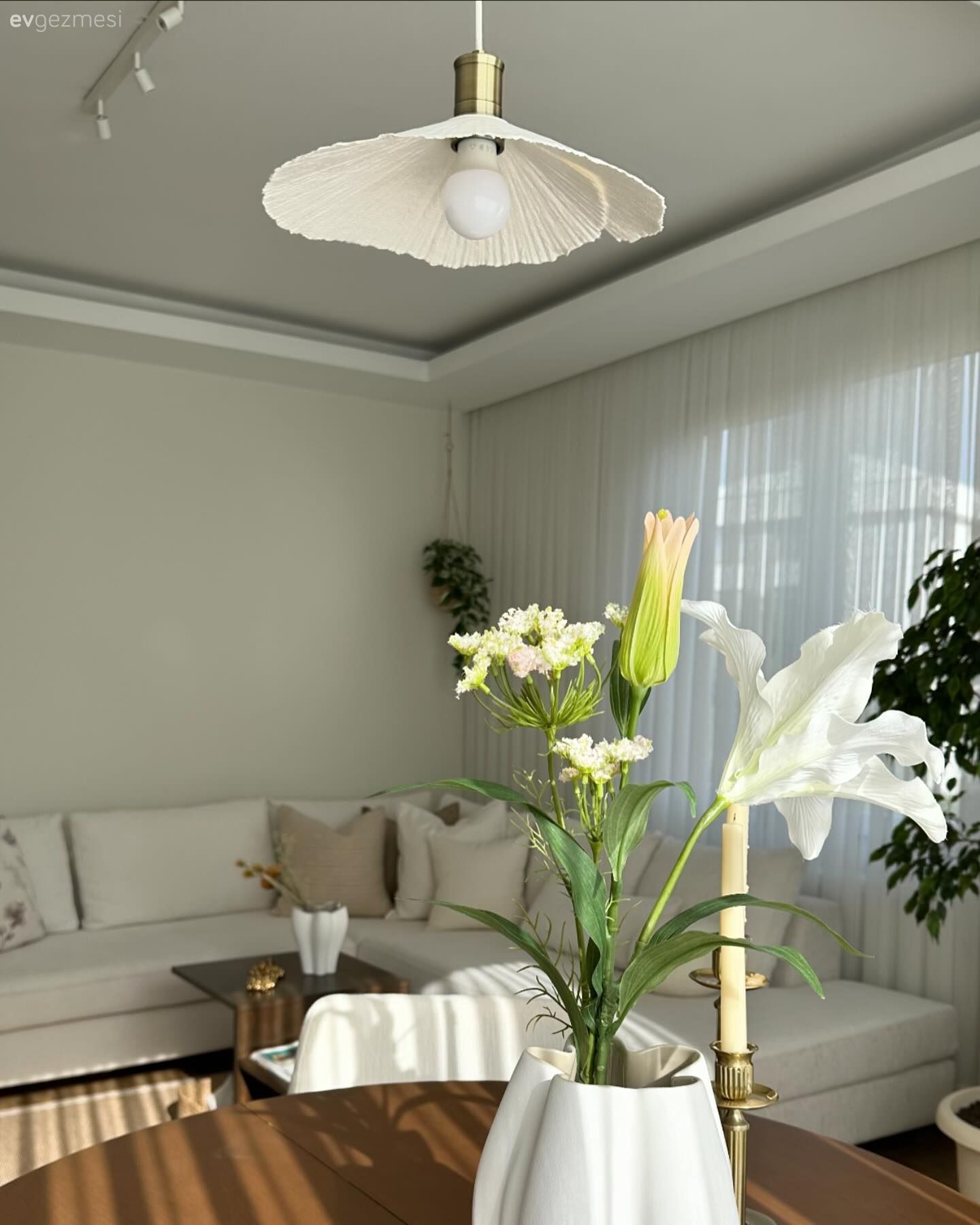 Salon, Ev bitkisi, Köşe koltuk, Koltuk takımı, İskandinav, Tül perde, Perde, Avize, Aydınlatma, Salon avizesi, Orta sehpa, Sehpa, Kırlent, Ev tekstili