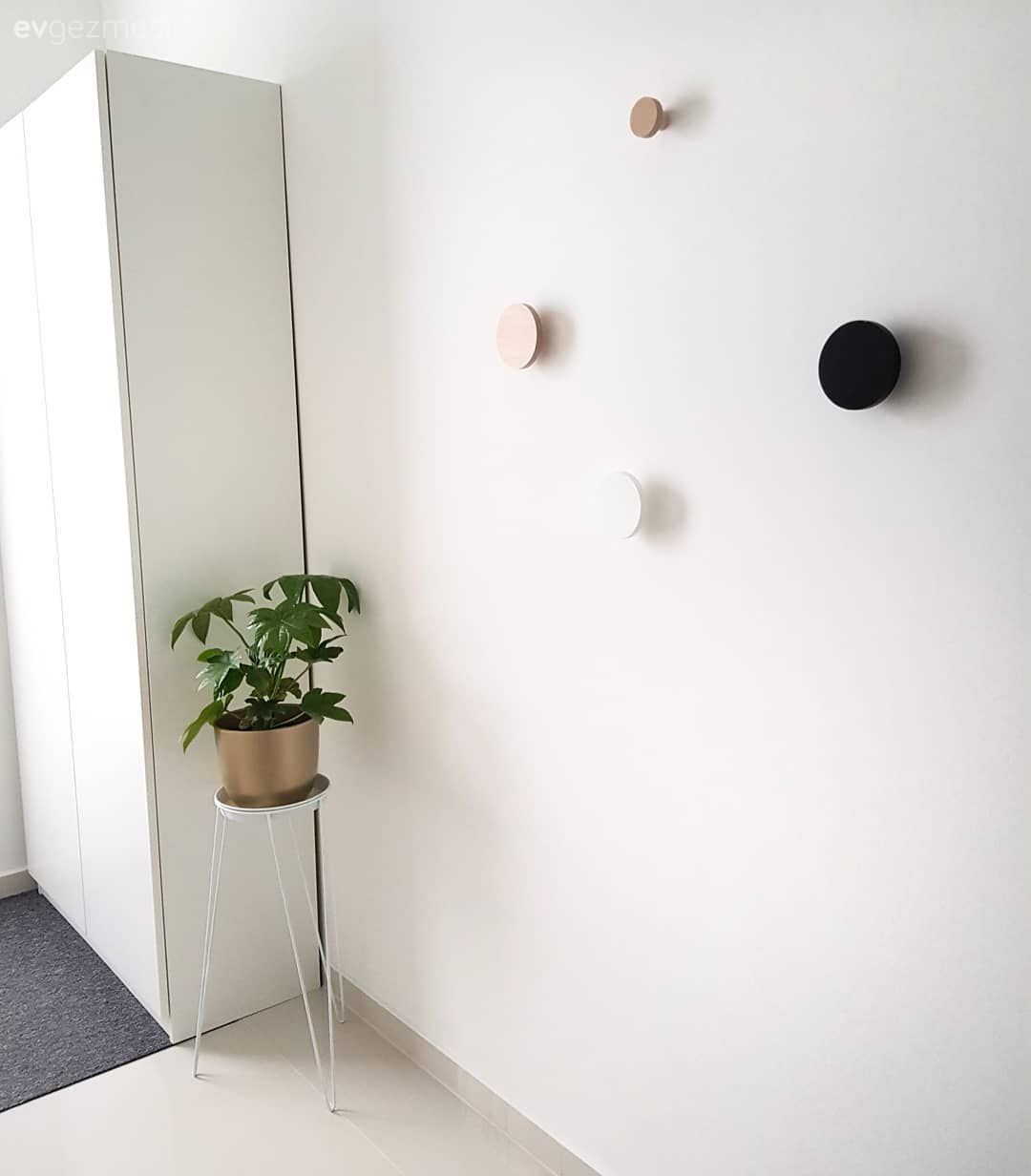 Antre, Vestiyer, Duvar dekorasyonu, Saksı, Çiçeklik, Beyaz, Yeşil, Altın