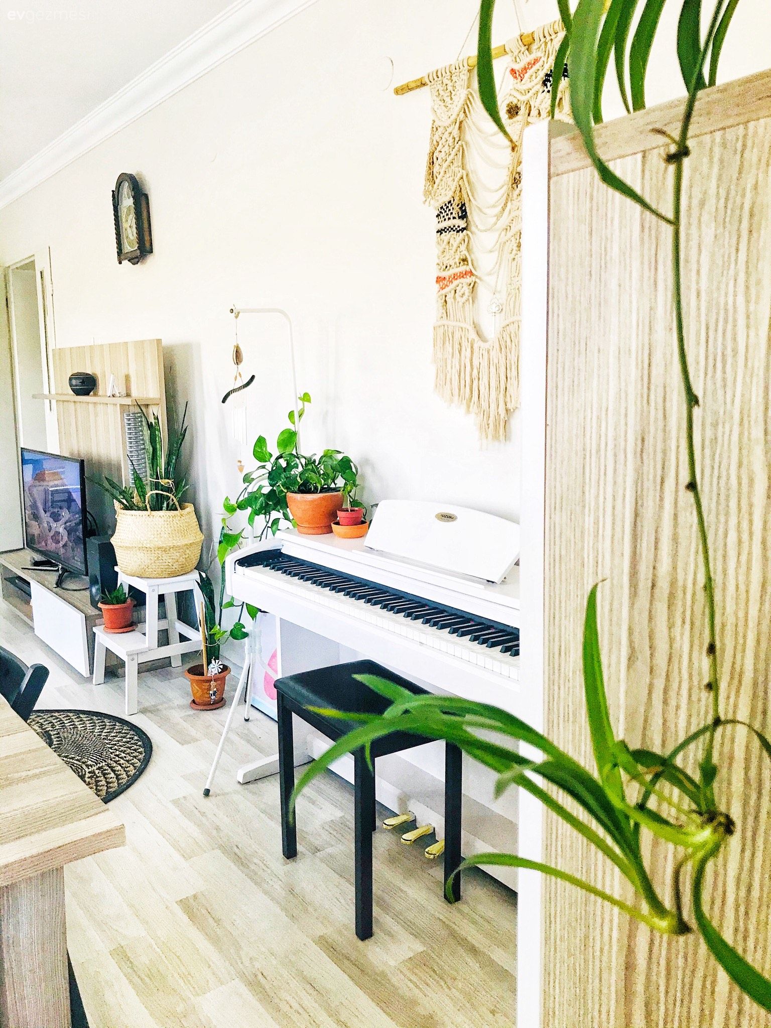 Tv ünitesi, Beyaz, Bej, Siyah, Piyano, Makrome, Hasır sepet, Parke