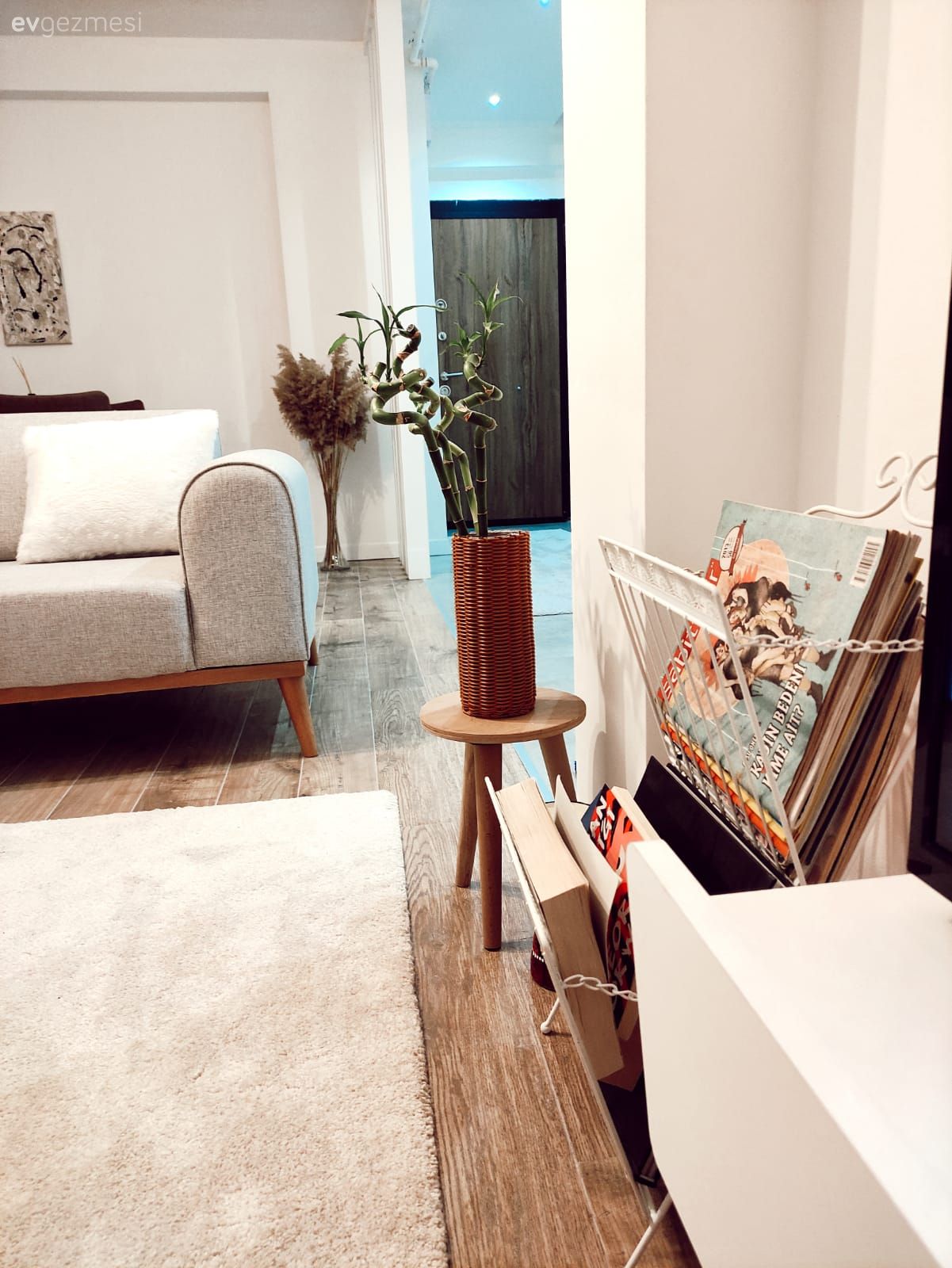 Salon, Modern, Koltuk takımı, Beyaz koltuk, Halı, Tv ünitesi, Ev bitkisi