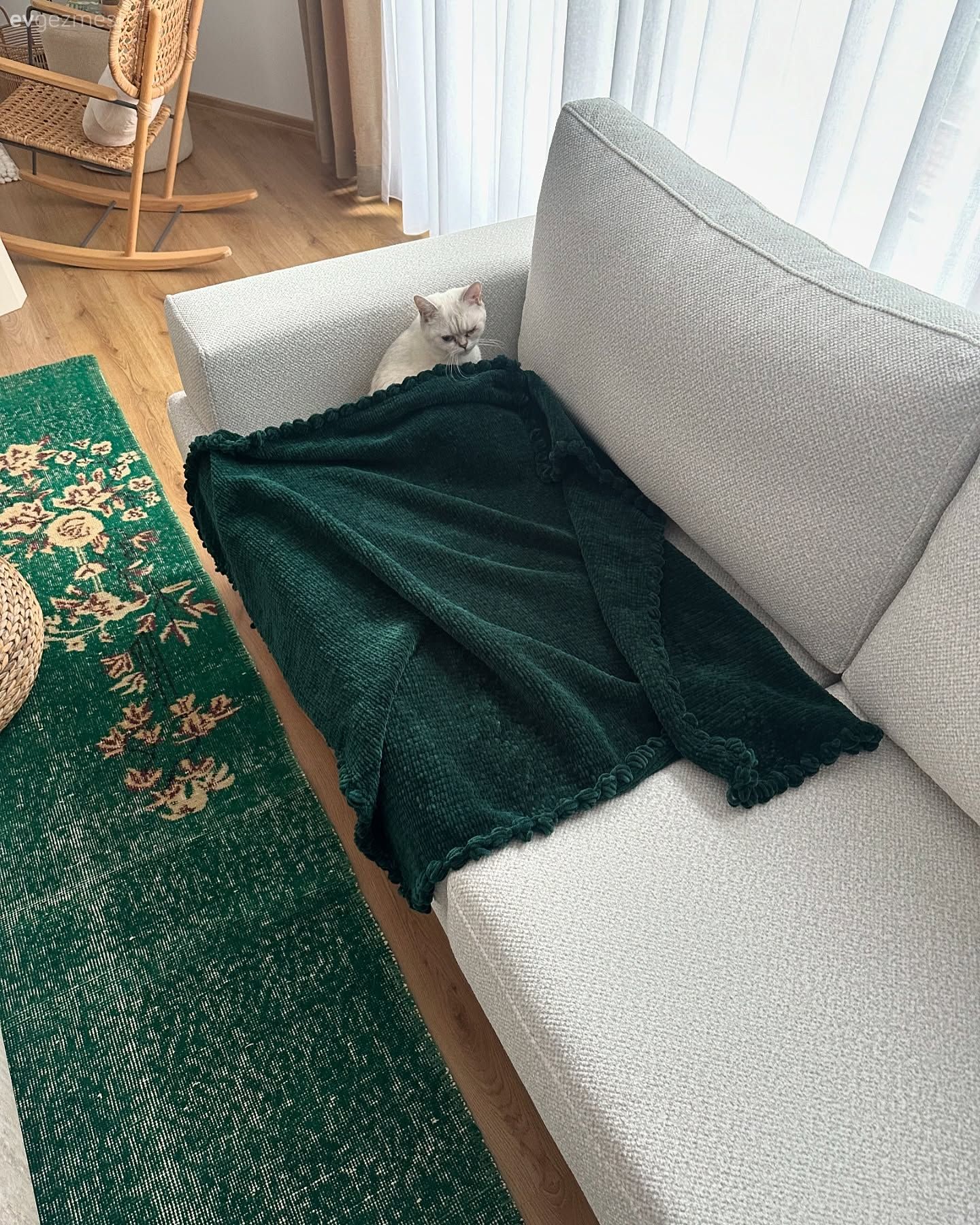 Bu Samimi Dekorun Yıldız Parçası Yeşil Halı