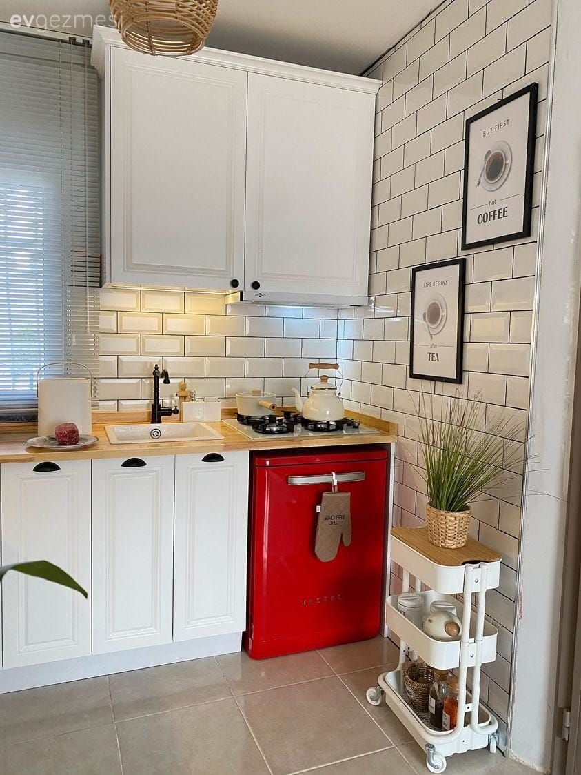 Ev Bitkileri Rehberi: Hangi Bitki Hangi Odaya Uygun?