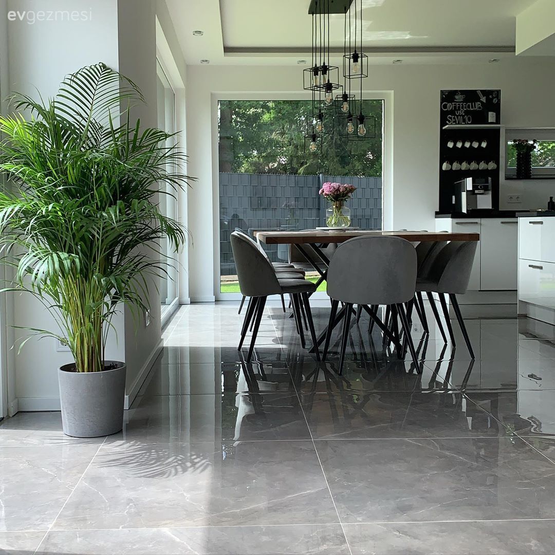 Beyaz, Siyah, Gri, Ahşap masa, Sandalye, Avize, Aydınlatma, Ev bitkisi