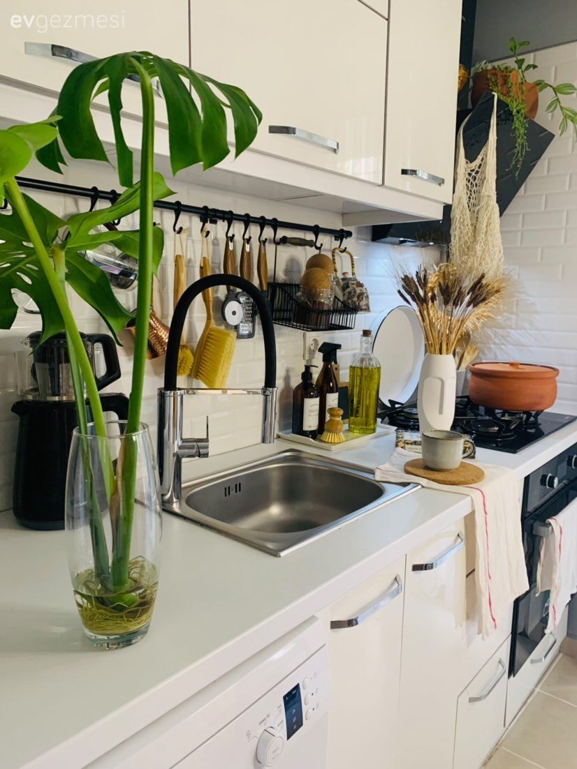 Mutfak, Beyaz, Beyaz mutfak, Ev bitkisi, Mutfak aksesuarları, Dekoratif Objeler
