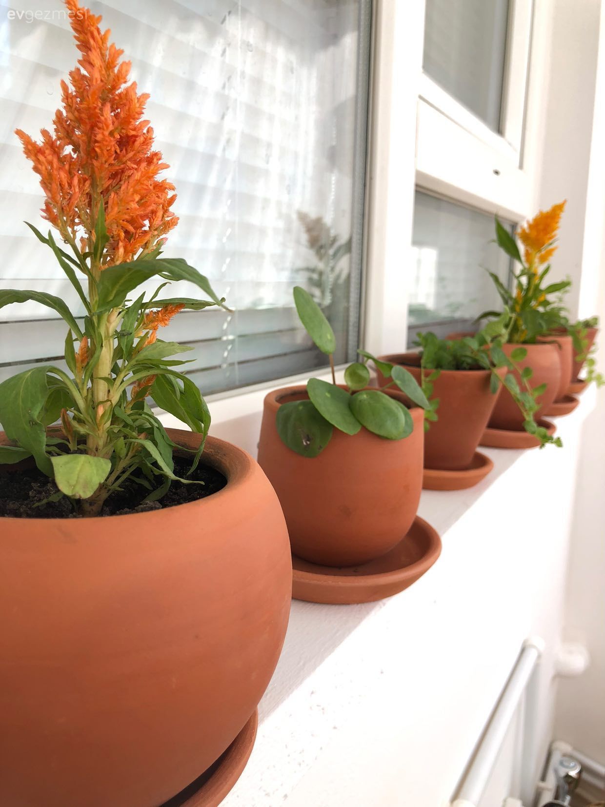 Öncesi&Sonrası: Az Parça İle Çok İş Başaran Bir Balkon