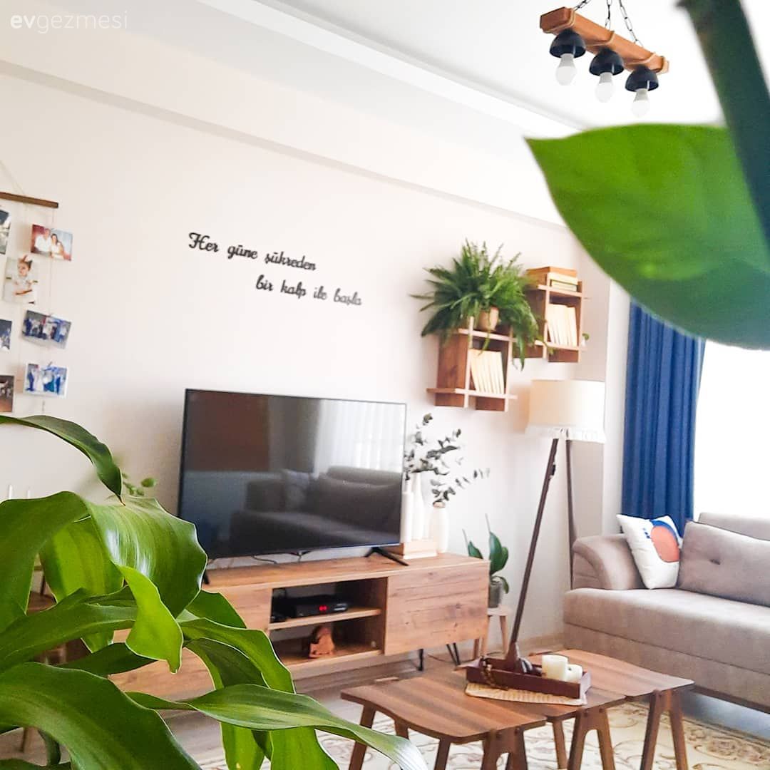 Salon, Rustik, Ahşap Mobilya, Bohem Dekorasyon, Ev bitkisi, Kırlent, Ev tekstili, Tv ünitesi, Tv ünitesi aksesuarları, Ev Aksesuar, Duvar rafı, Duvar dekorasyonu, Mavi, Fon perde, Perde, Orta sehpa, Sehpa, Avize, Aydınlatma, Lambader