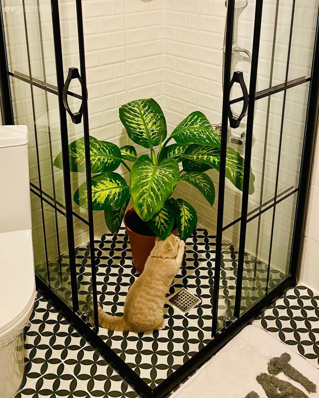 Öncesi&Sonrası: Düz Duvar Alandan Keyifli Banyoya Geçiş!