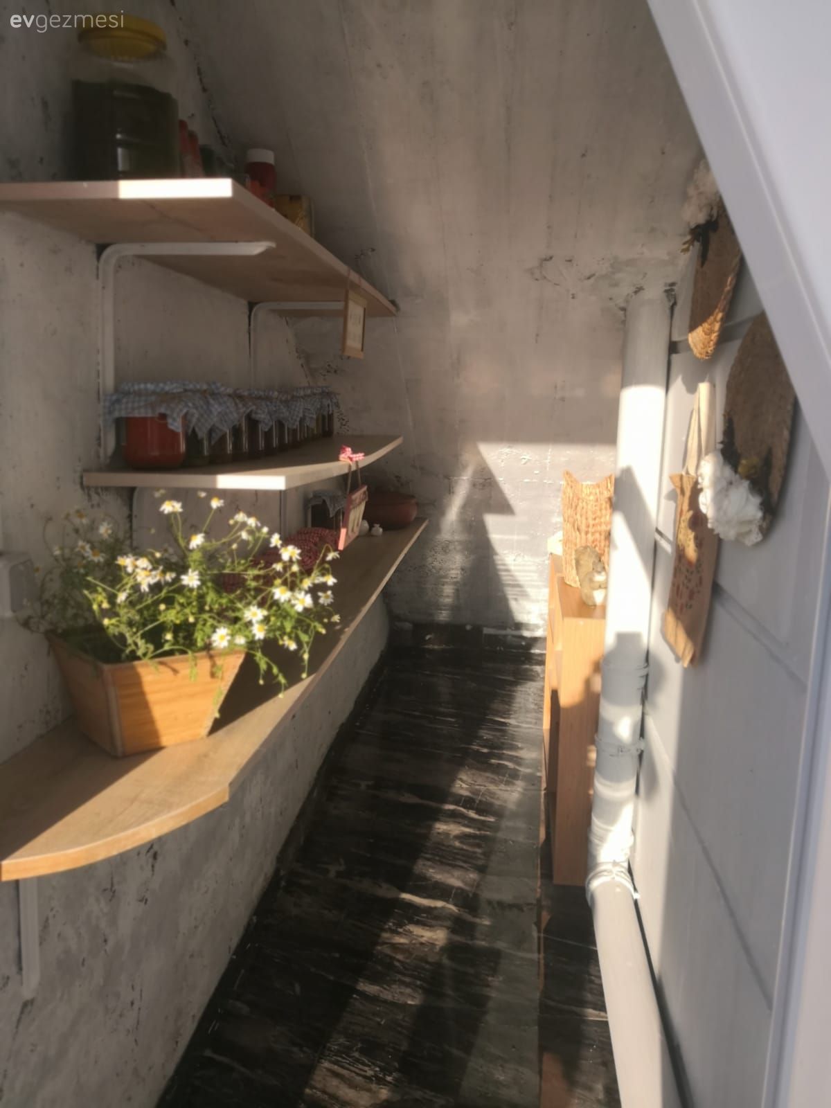 Saksı, Duvar rafı, Duvar dekorasyonu, Bahçe