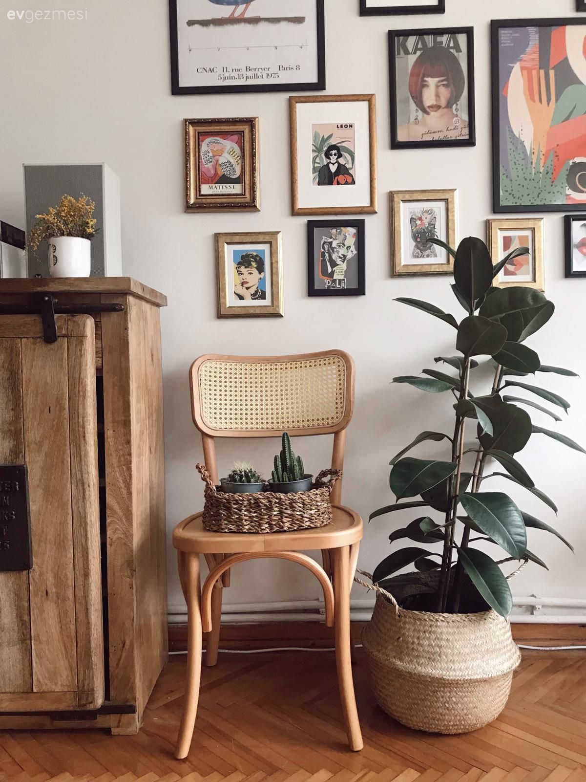 Ev bitkisi, Ayna, Hasır, Saksı, Sandalye, Parke, Masif ahşap, Dolap