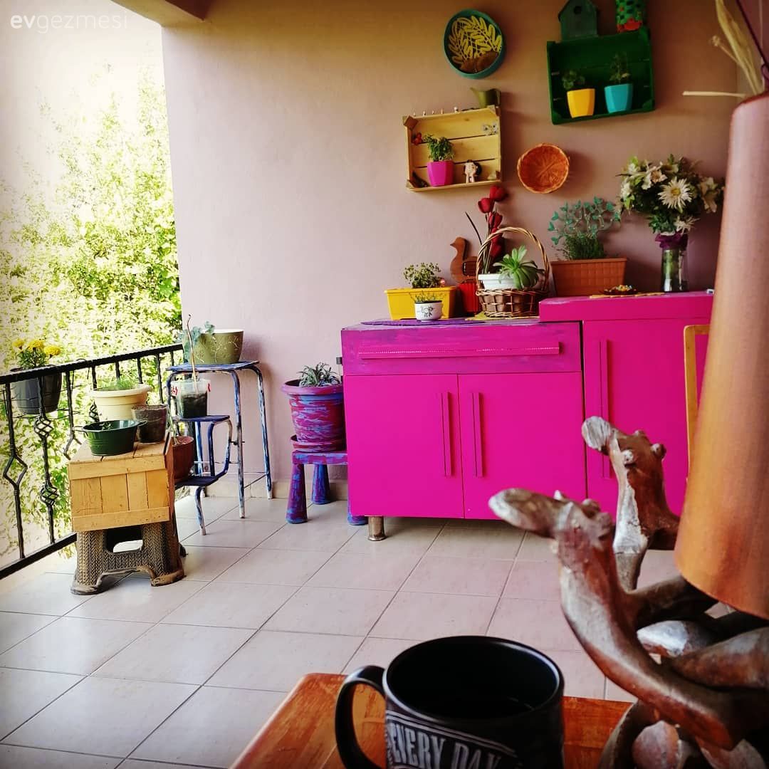 Balkon, Pembe, Sarı, Yeşil, Mavi, Ev bitkisi