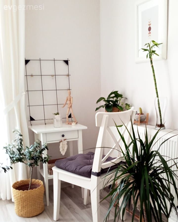 Sandalye, Beyaz, Gri, Ev bitkisi, Hasır sepet, Saksı, Çiçeklik, Tablo, Duvar dekorasyonu, Parke