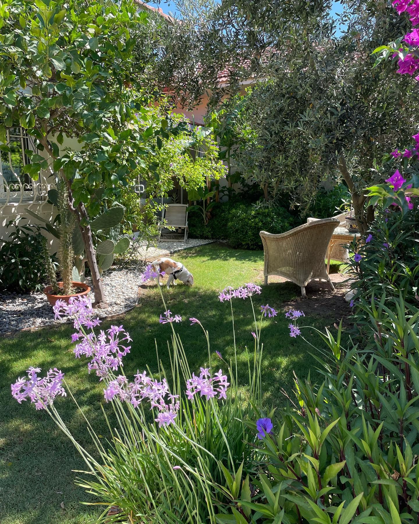 Bu Çeşme Yazlığında Zarafet ve Keyif Seviyesi Eş Değer Şekilde