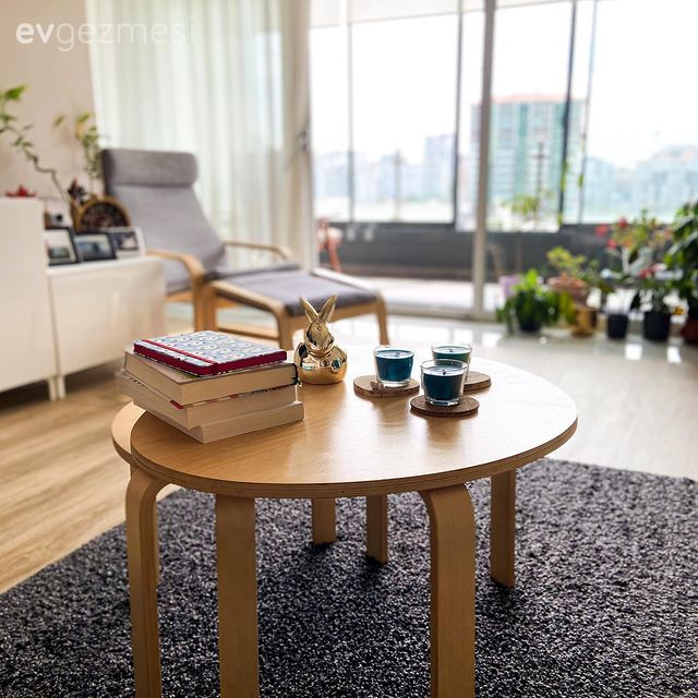 Beyaz, Gri, Kahverengi, Ahşap Mobilya, Yuvarlak sehpa, Sehpa, Berjer, Ev bitkisi, Halı, Salon halısı