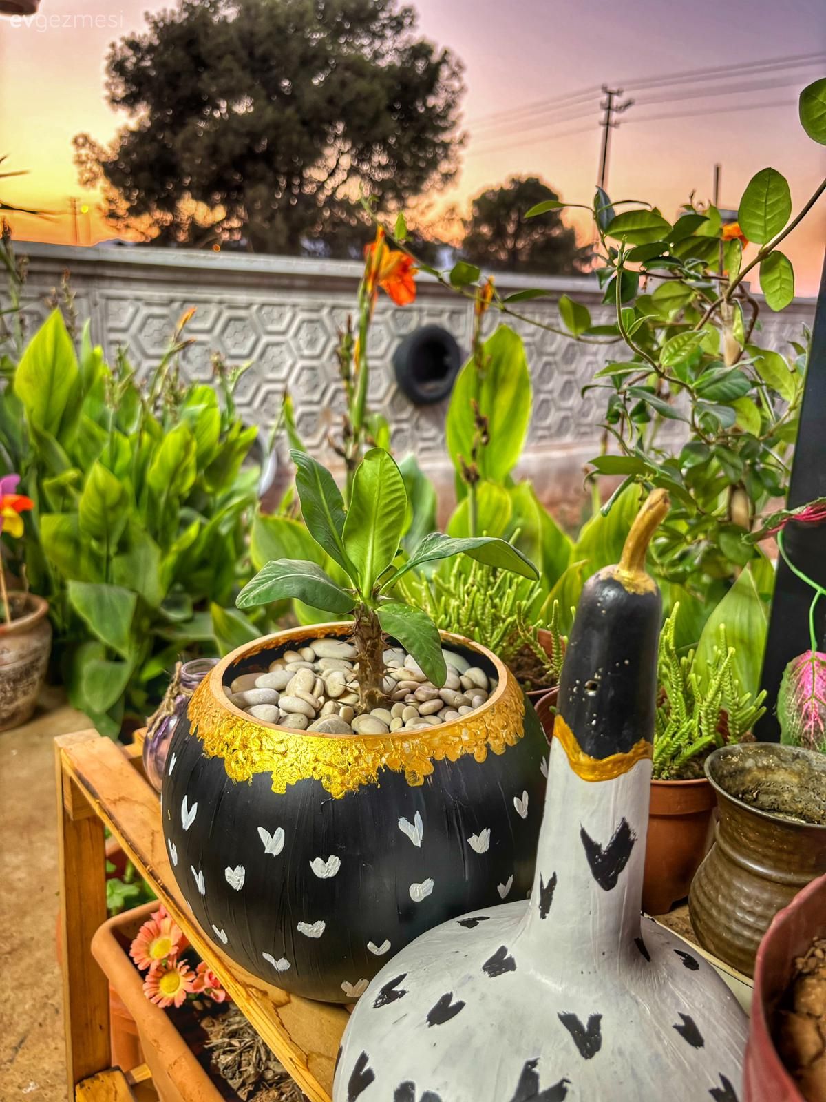 Bahçeye Yapılan Bu Tek Odalı Ev Tatillerde Kaçış Mekânı