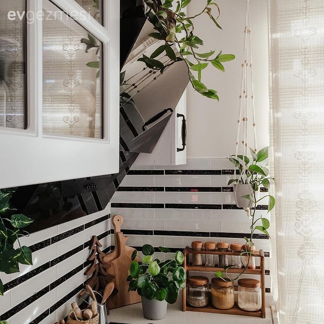 Beyaz, Mutfak, Siyah, Mutfak tezgahı, Mutfak tezgah arası, Tezgah arası seramik, Ev bitkisi