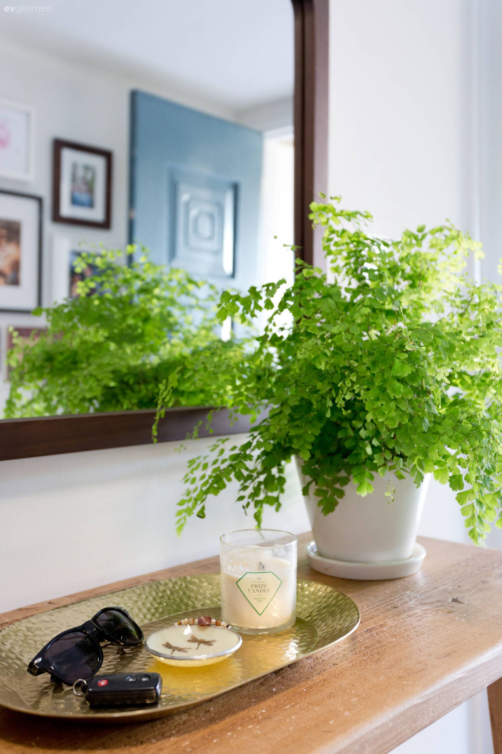 Evinizde Düzen: Haftada Bir Elinizin Değmesi Gereken Yerler!