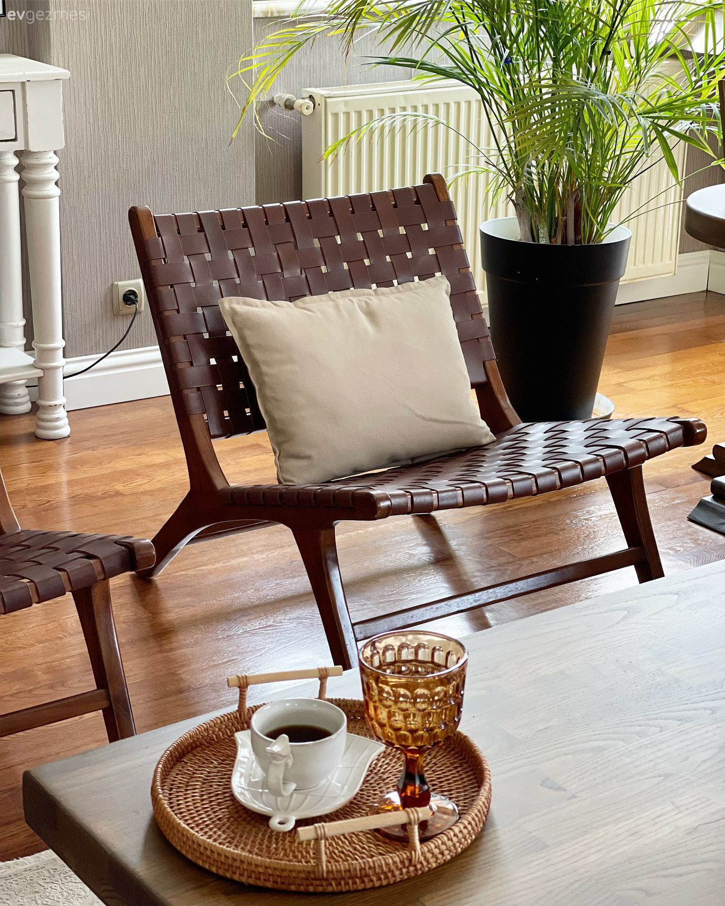 Deri sandalye, Kırlent, Ev tekstili, Kahverengi, Halı, Salon halısı, Ev bitkisi