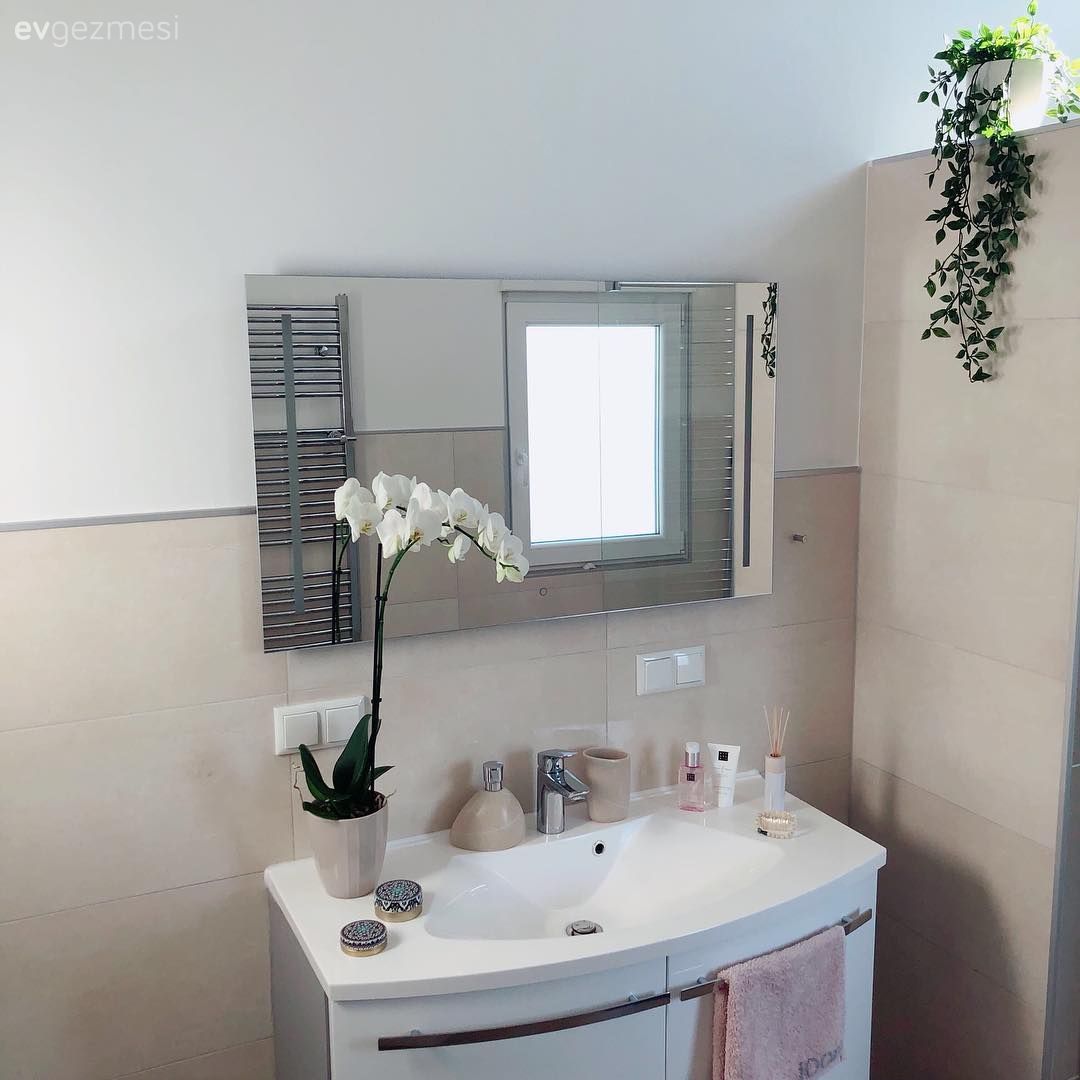 Banyo, Banyo aynası, Banyo aksesuarları, Ev bitkisi