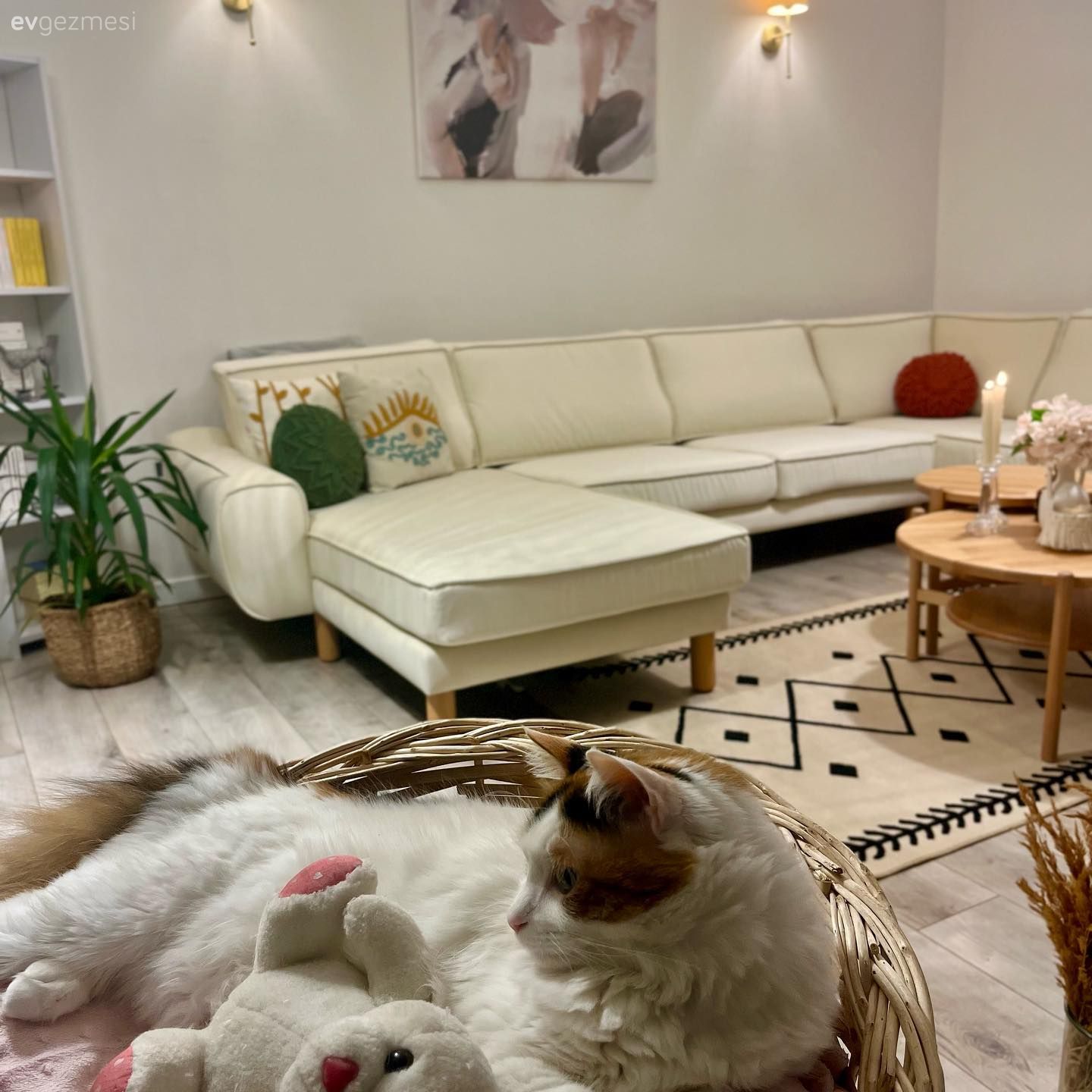 Koltuk takımı, Köşe koltuk, Tablo, Duvar dekorasyonu, Halı, Salon halısı, Orta sehpa, Sehpa, Aplik, Aydınlatma, Ev bitkisi, Saksı