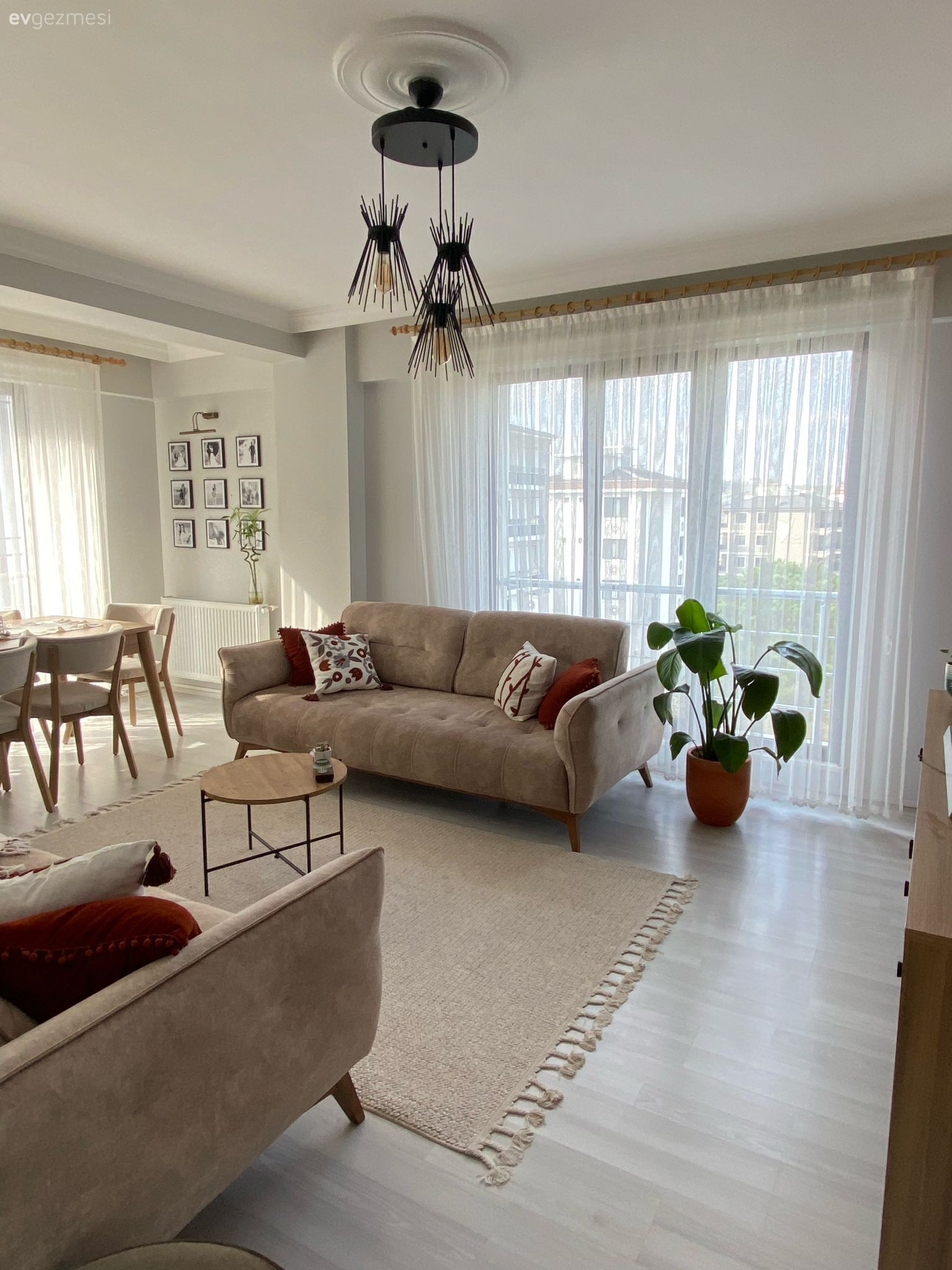 Salon, Modern, Vizon, Beyaz, Krem, Bej, Koltuk takımı, Halı, Salon halısı, Tül perde, Perde, Sandalye, Yemek masası, Parke, Avize, Aydınlatma, Salon avizesi, Saksı, Ev bitkisi, Orta sehpa, Sehpa, Çerçeve, Kırlent, Ev tekstili