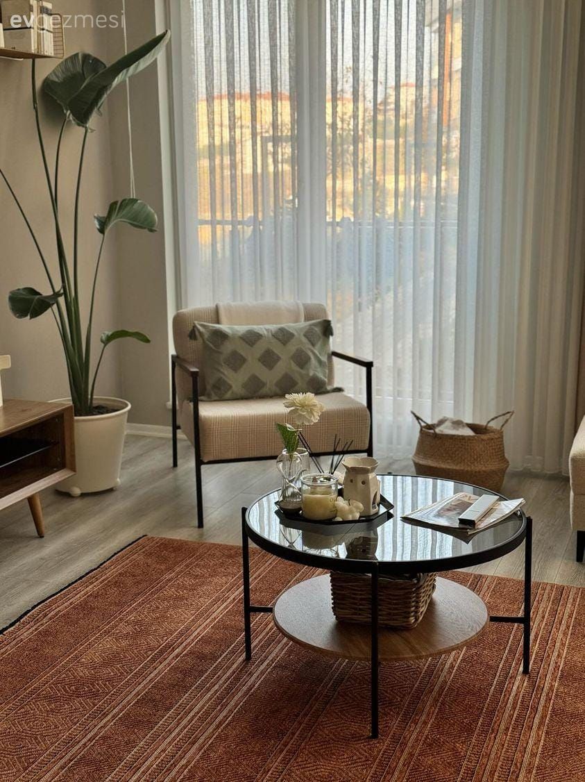 Beyaz, Halı, Cam orta sehpa, Orta sehpa, Ev bitkisi, Tül perde, Perde, Ahşap Mobilya, Berjer, Hasır