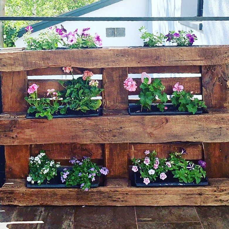 Sandalye, Hasır, Palet, Çiçeklik