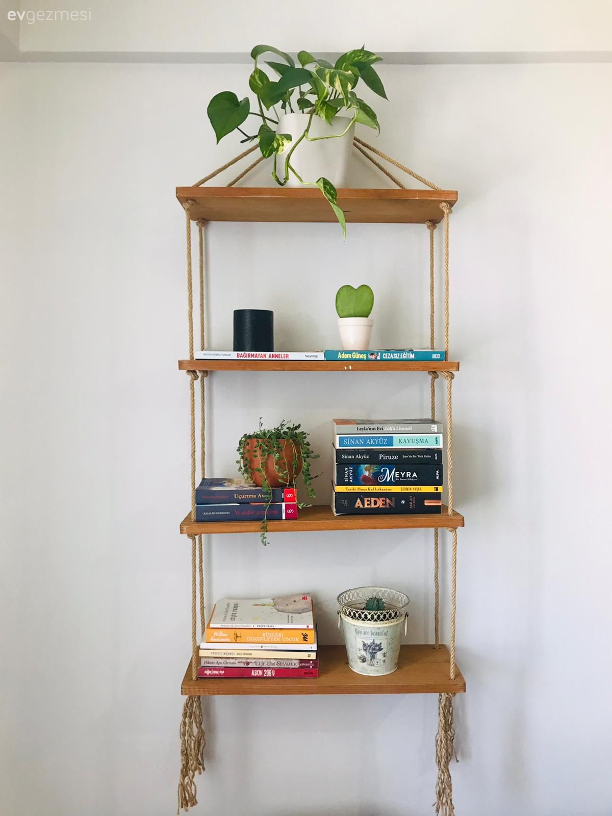 Duvar dekorasyonu, Ev bitkisi