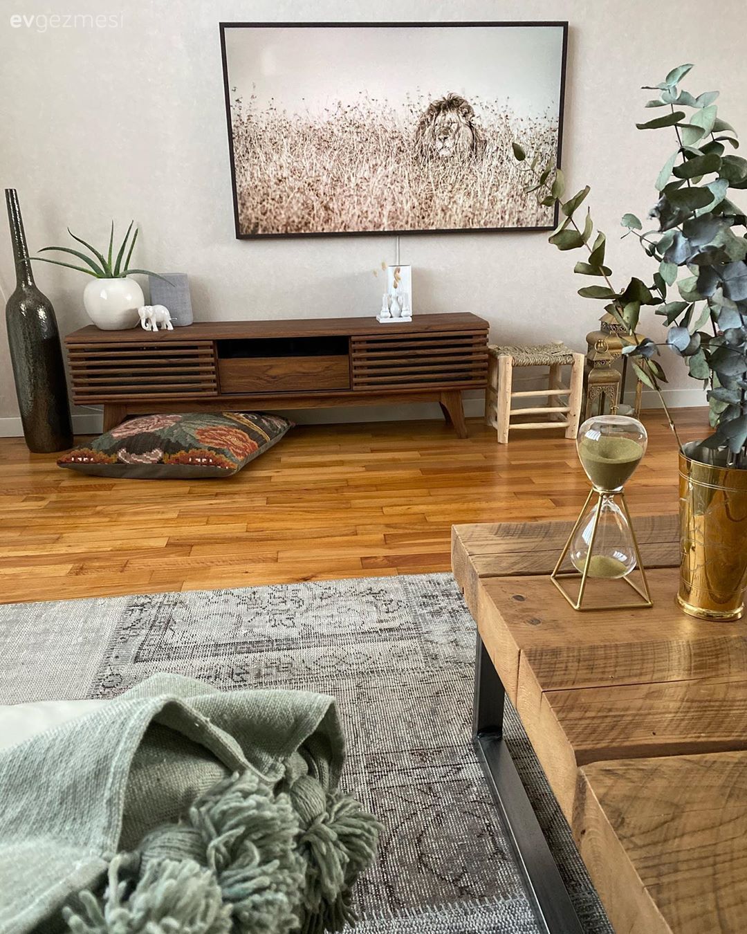 Gri, Kahverengi, Beyaz, Tv ünitesi, Tv ünitesi aksesuarları, Ev Aksesuar, Orta sehpa, Sehpa, Sehpa üstü aksesuarı, Vazo, Ev bitkisi, Yan sehpa, Halı, Salon