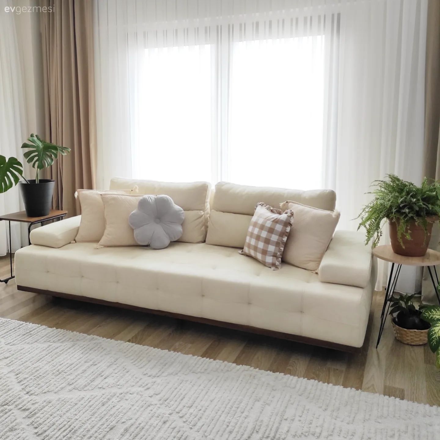Salon, Modern, Beyaz, Krem, Koltuk takımı, Beyaz koltuk, Ev bitkisi, Saksı, Parke, Kırlent, Ev tekstili