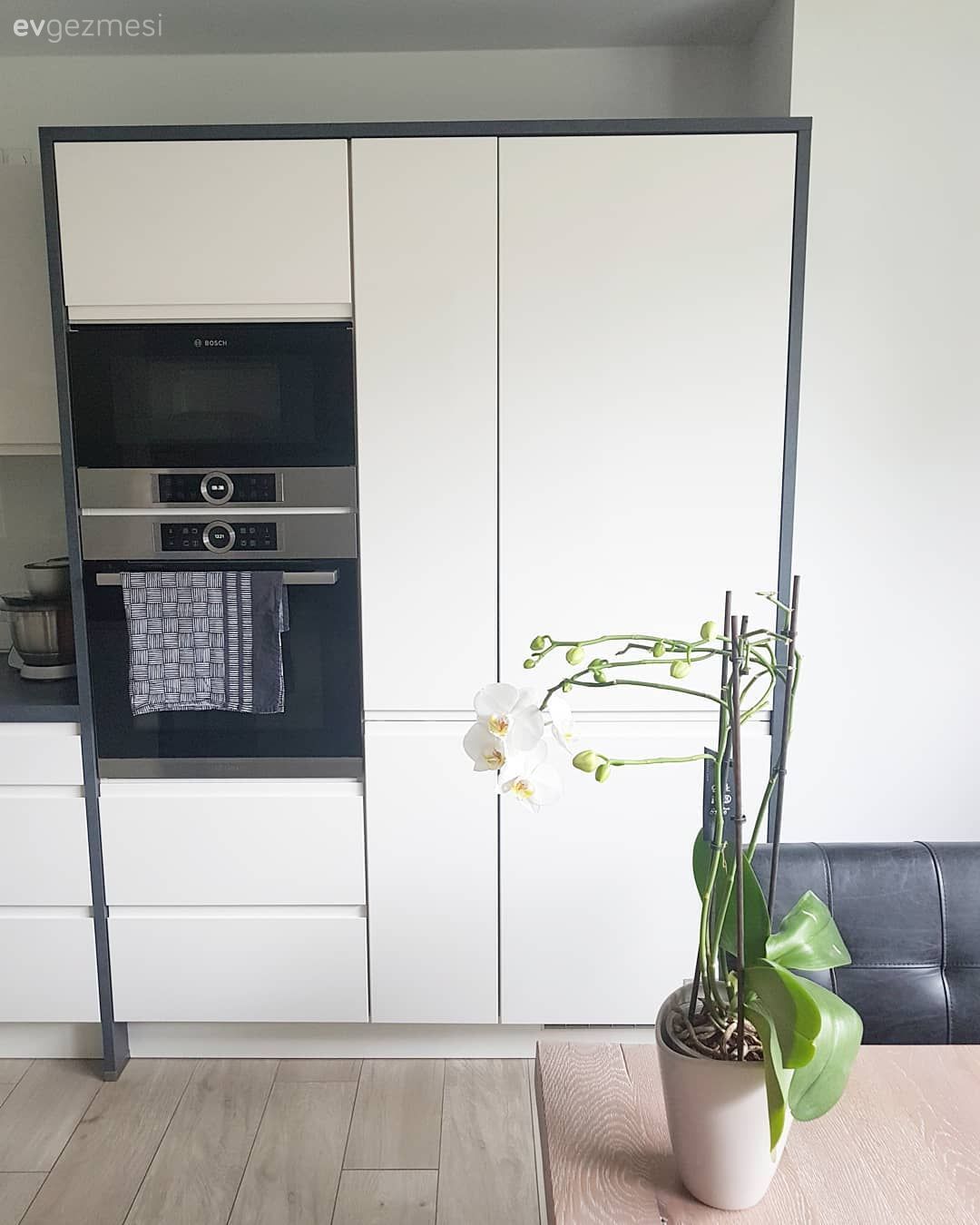 Beyaz, Siyah, Ankastre, Mutfak, Cam Ankastre, Ahşap Mobilya, Ev bitkisi