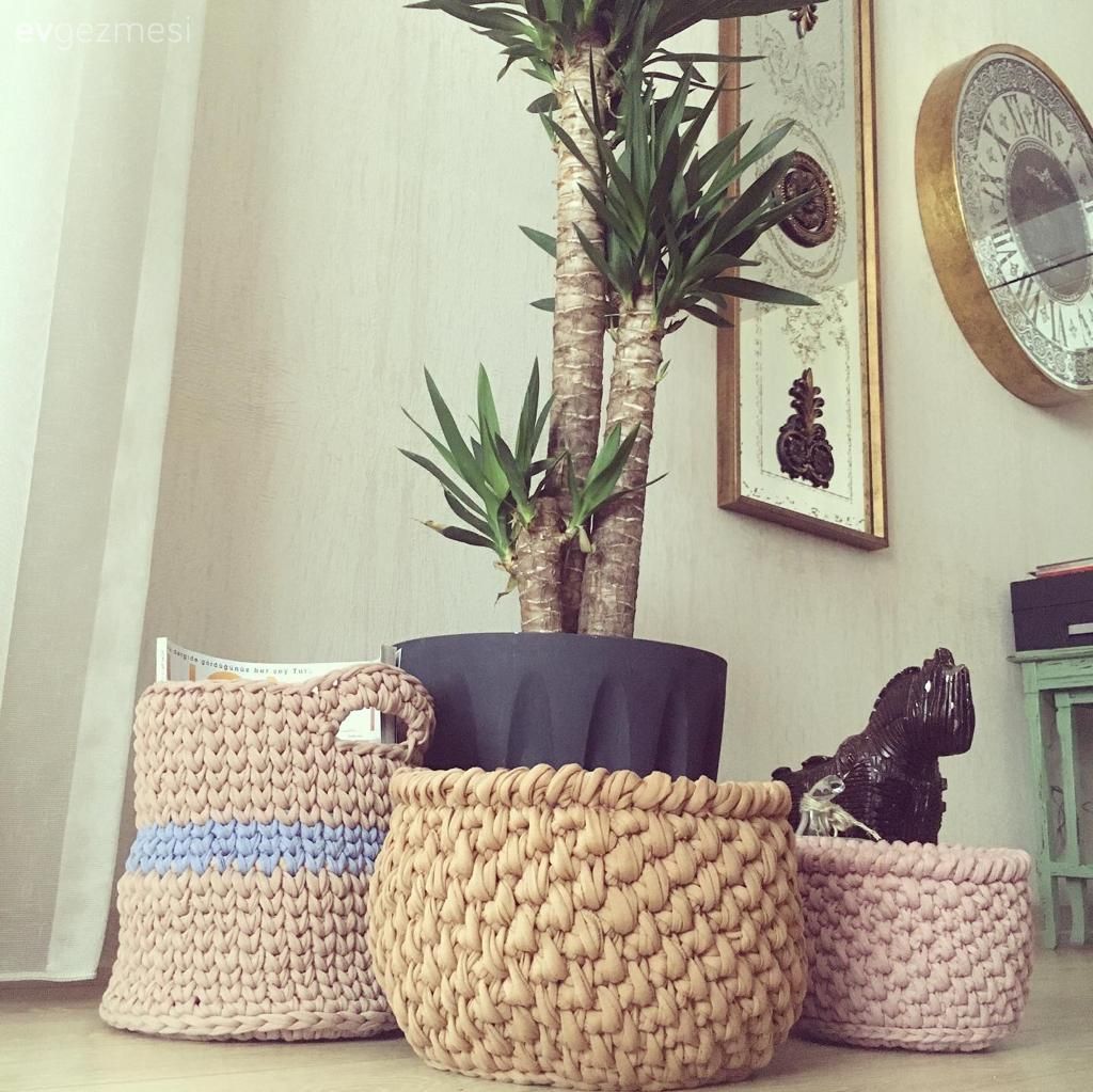 Saksı, Ev bitkisi, Ayna, Duvar saati, Duvar dekorasyonu