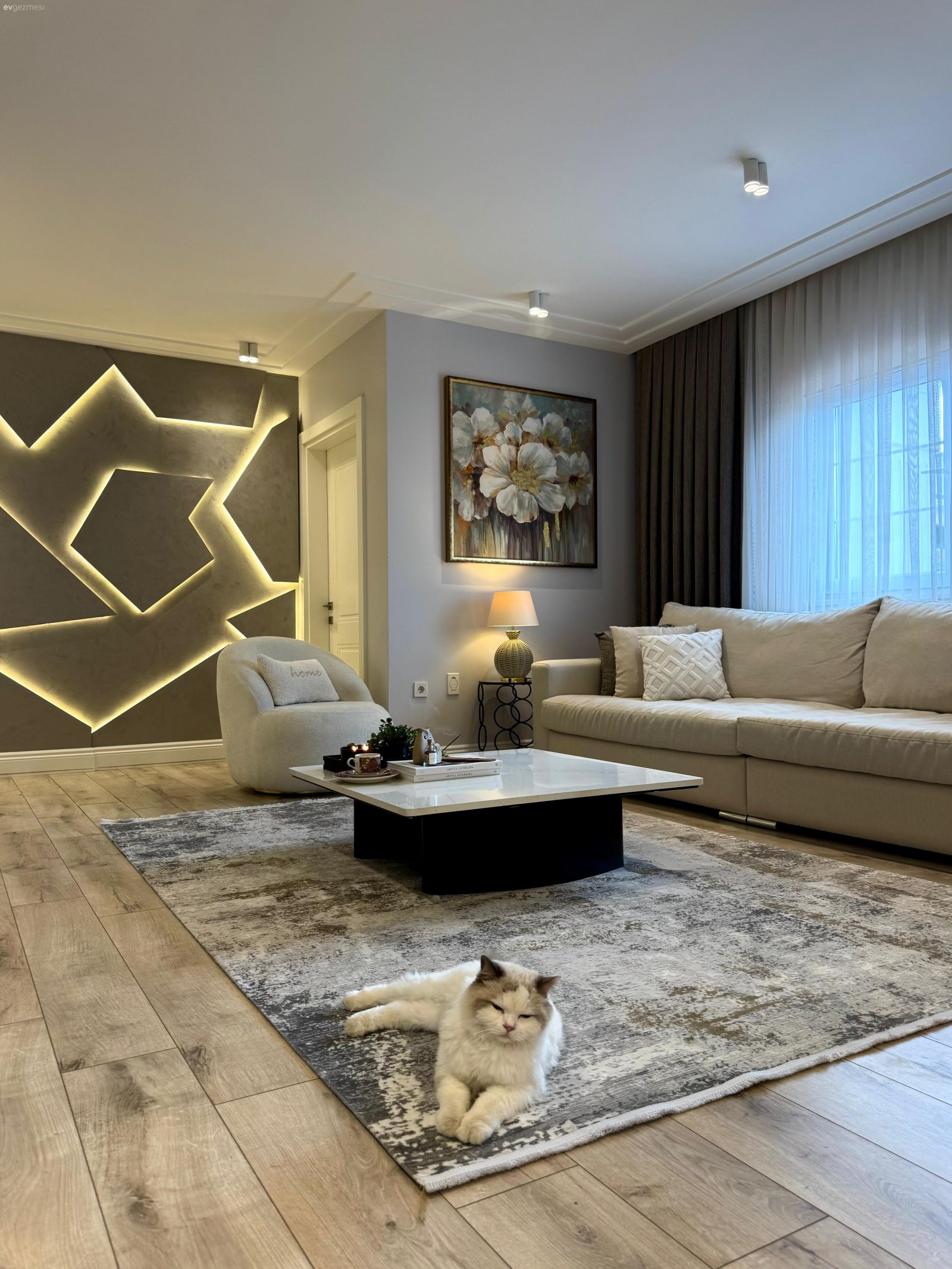 Salon, Modern, Krem, Bej, Beyaz, Siyah, Koltuk takımı, Fon perde, Perde, Tül perde, Orta sehpa, Sehpa, Halı, Salon halısı, Duvar dekorasyonu, Tablo, Parke, Abajur, Aydınlatma, Spot aydınlatma, Berjer