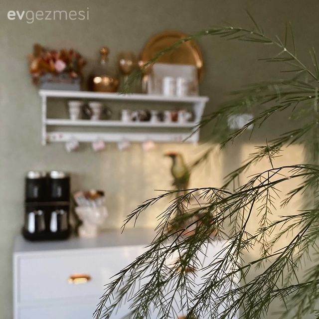 Mutfak, Country, Beyaz, Altın, Yeşil duvar, Bej, Krem, Kahve köşesi, Mutfak rafı, Mutfak duvar dekorasyonu