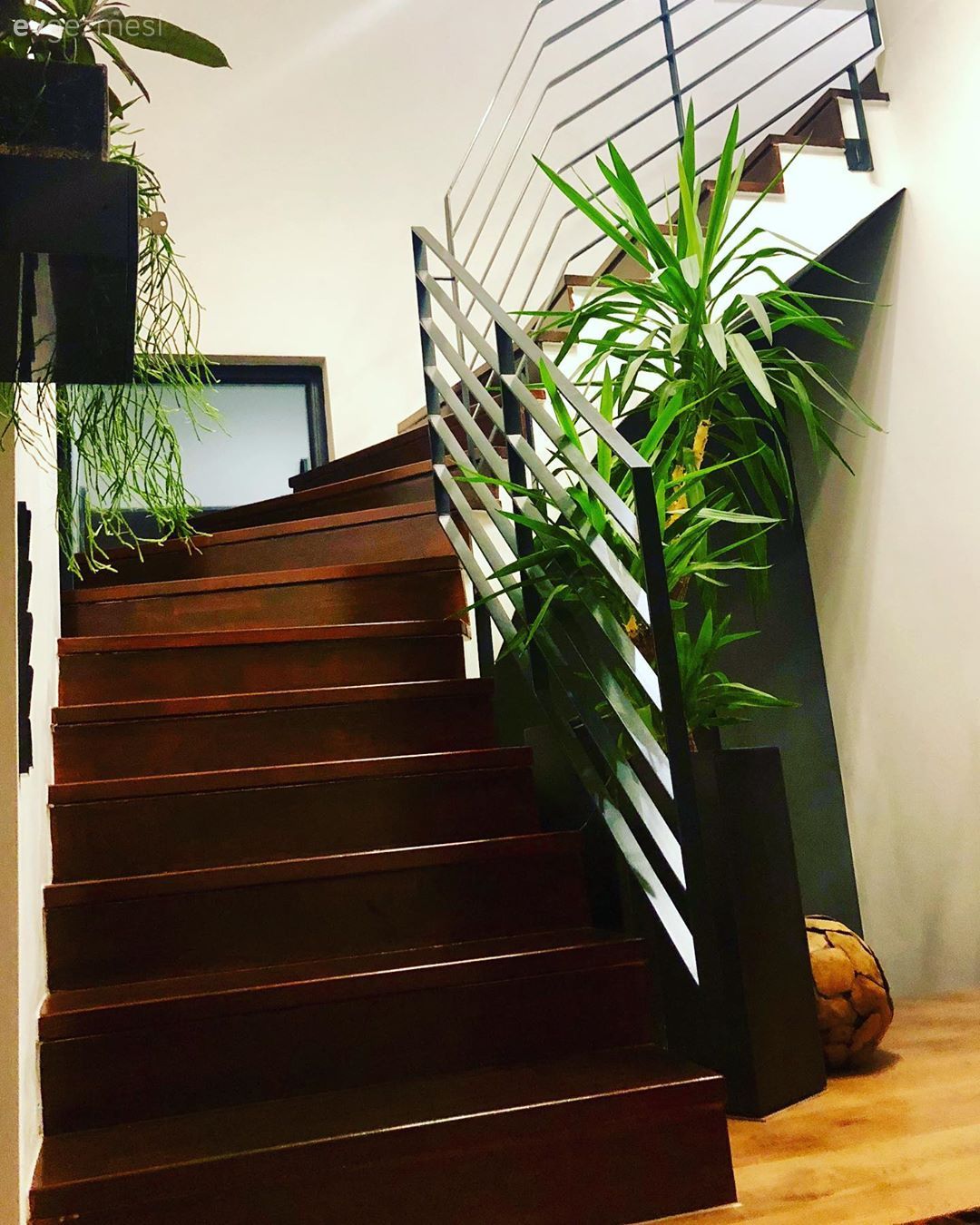 Dubleks evler, Merdiven, Ev bitkisi