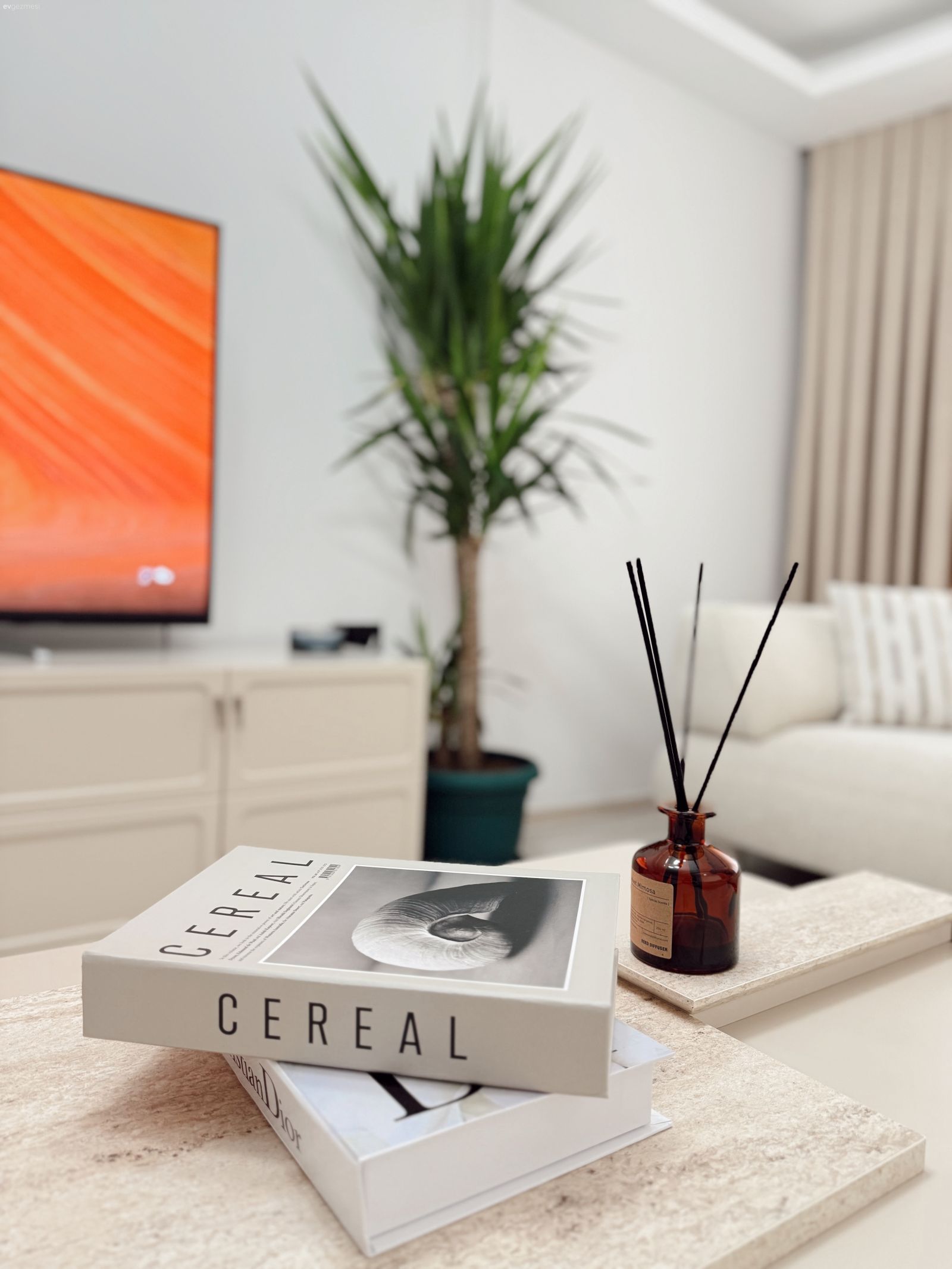 Krem, Bej, Beyaz, Vizon, Tv ünitesi, Tv ünitesi aksesuarları, Ev Aksesuar, Dekoratif Objeler