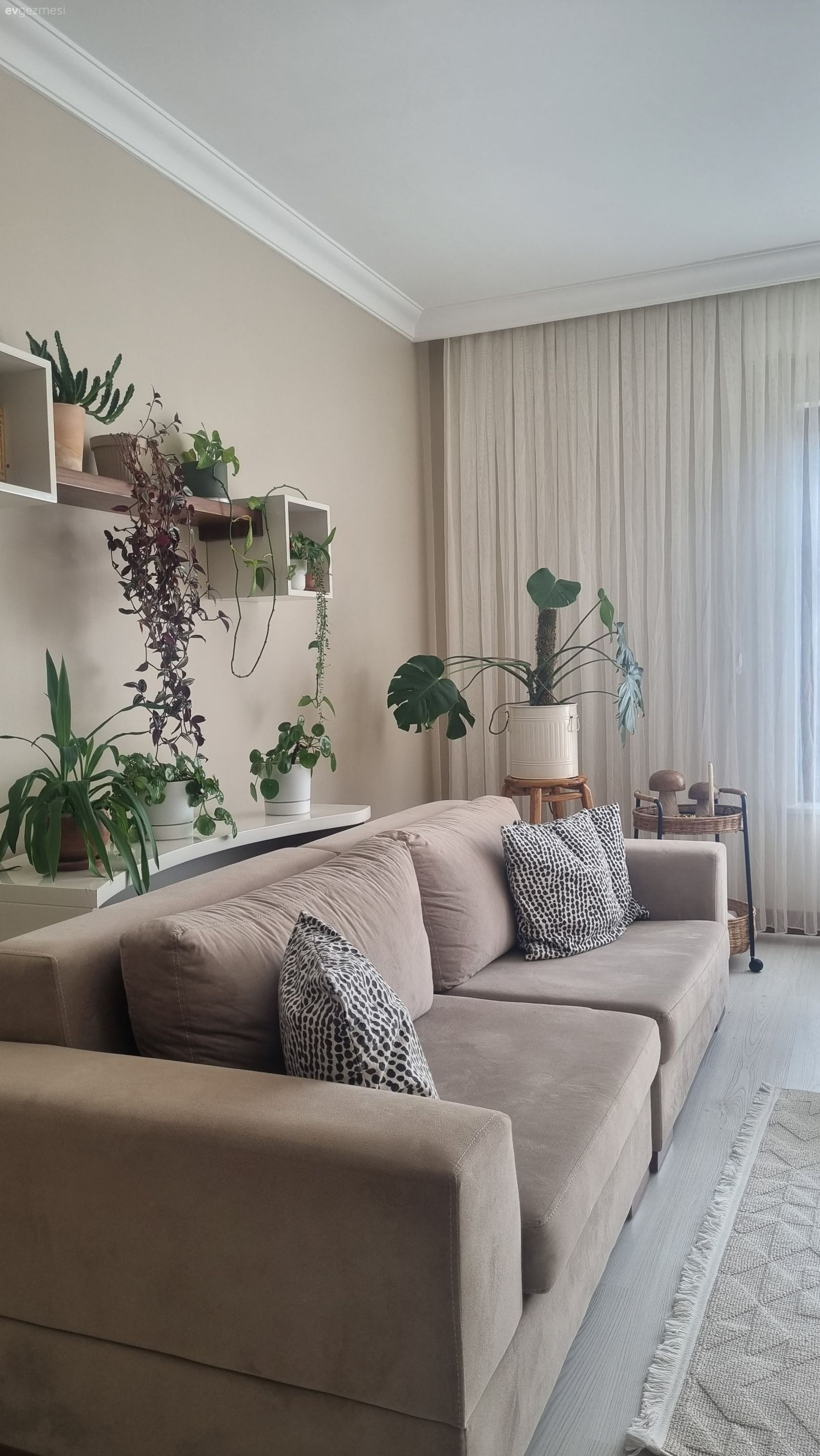 Bu Ankara Evinde Bitkiler Fazlaca Söz Sahibi