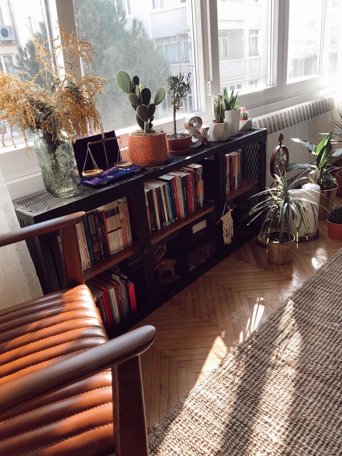 Siyah, Kahverengi, Kitaplık, Sandalye, Ev bitkisi, Saksı, Vazo, Ev Aksesuar, Dekoratif Objeler