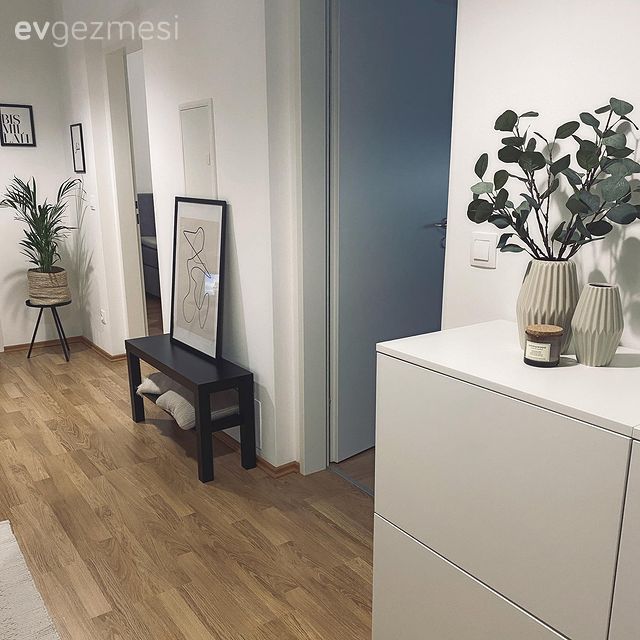 Parke, Beyaz, Siyah, Konsol, Konsol üzeri dekoratif objeleri, Tablo, Duvar dekorasyonu, Çiçeklik, Ev bitkisi, Saksı