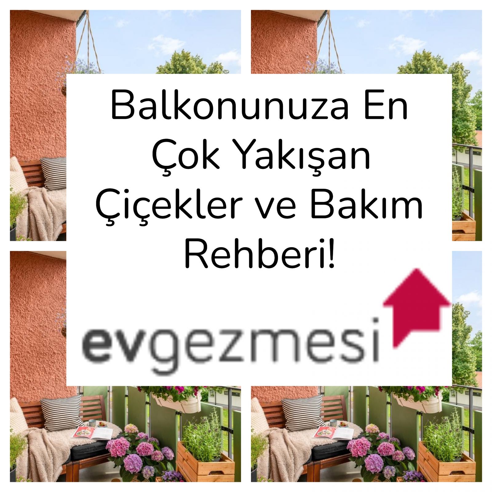 Balkonunuza En Çok Yakışan Çiçekler ve Bakım Rehberi!