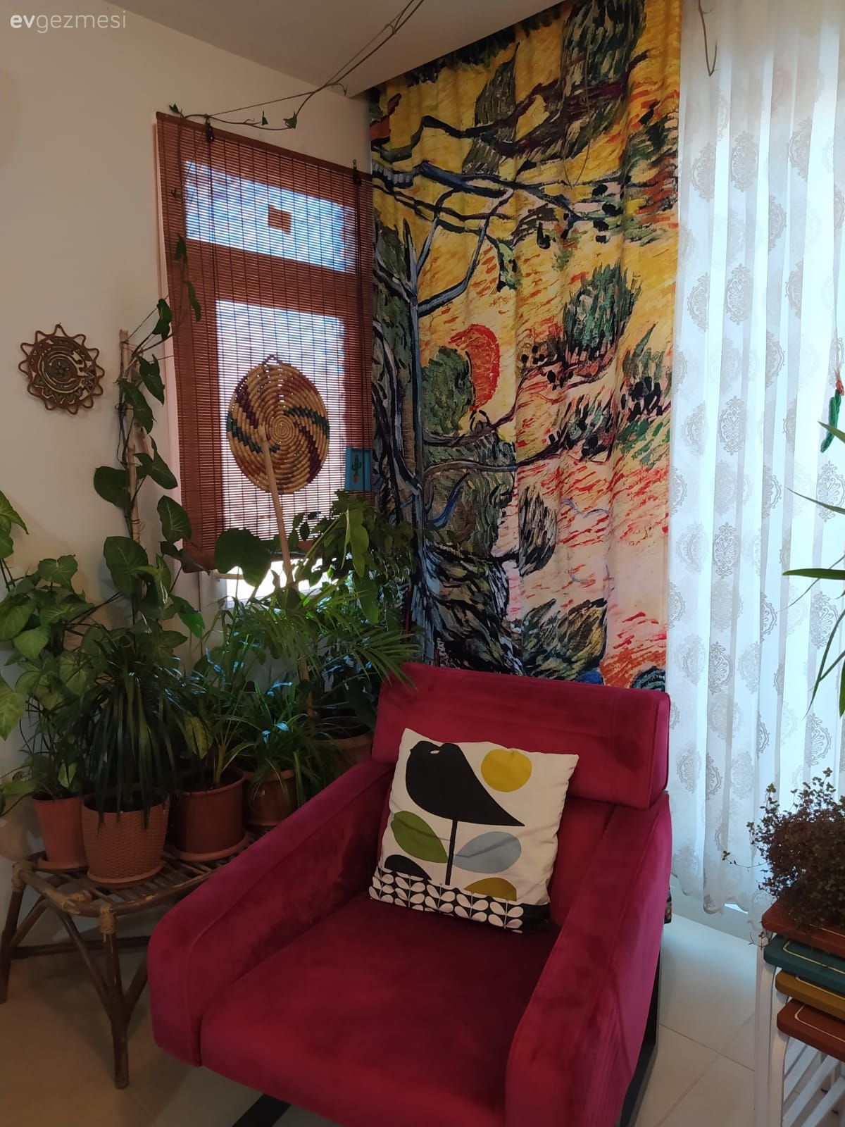 Salon, Fuşya, Sarı, Yeşil, Fon perde, Perde, Tül perde, Berjer, Kırlent, Ev tekstili, Ev bitkisi