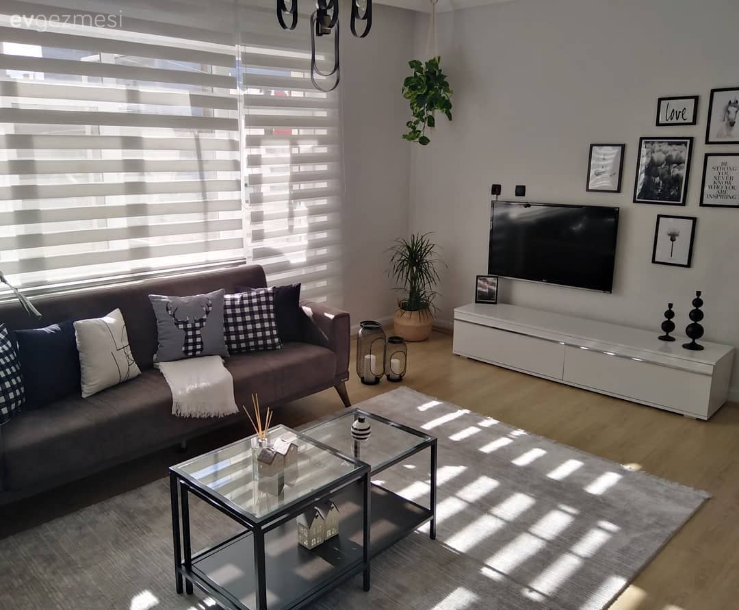 Salon, Modern, Antrasit  , Gri, Beyaz, Orta sehpa, Sehpa, Halı, Salon halısı, Zebra Perde, Perde, Tv ünitesi, Tv ünitesi aksesuarları, Ev Aksesuar, Çerçeve, Ev bitkisi, Avize, Aydınlatma