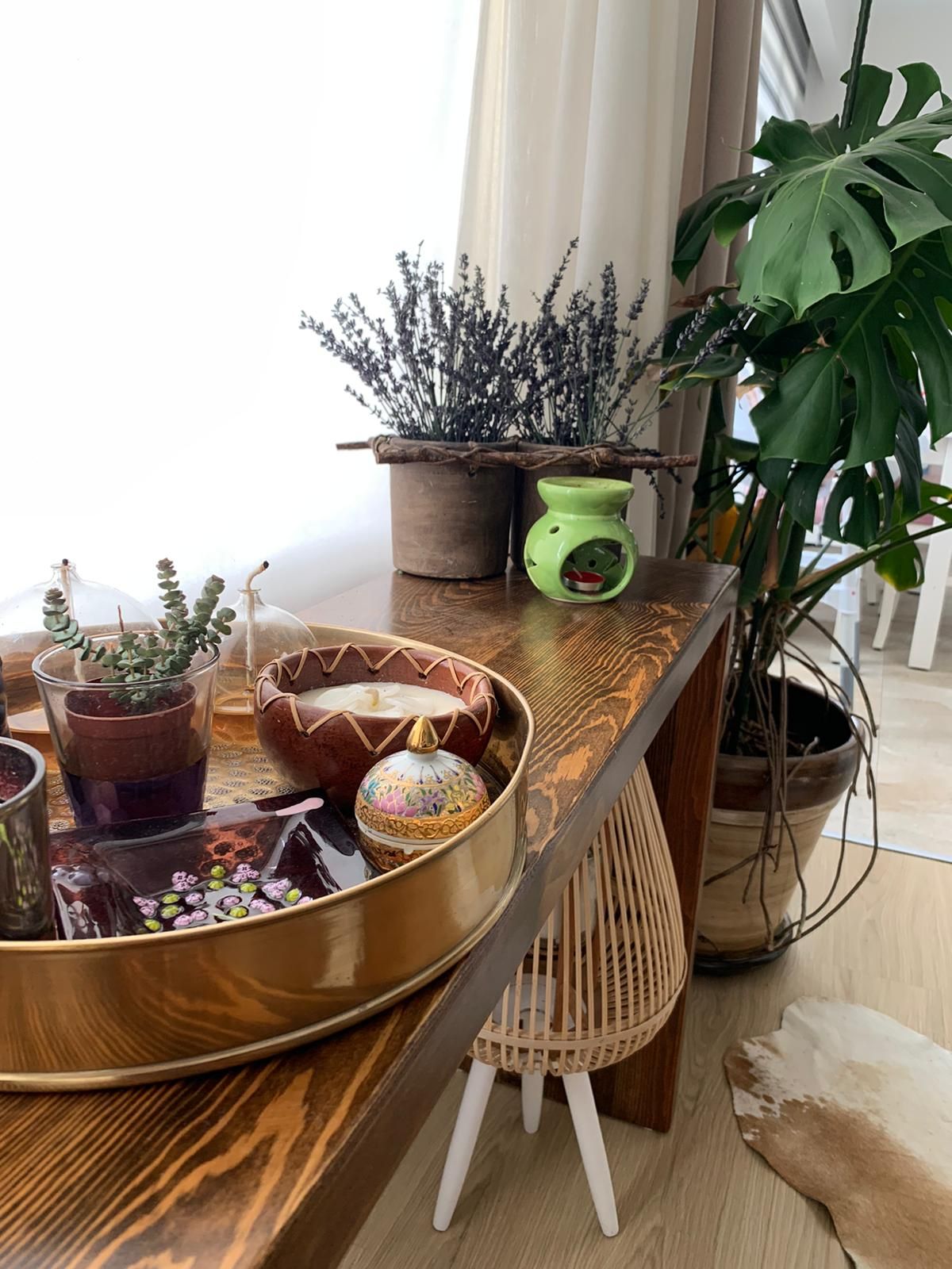 Ev bitkisi, Ahşap Mobilya