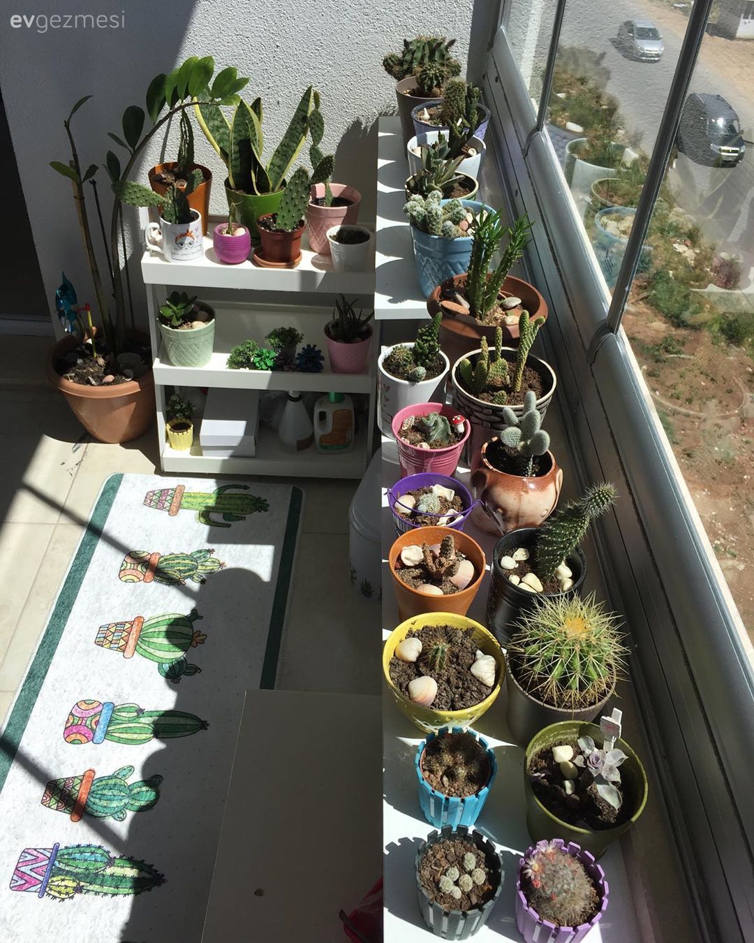 Ev Gezmesi: Modern ve Bol Yeşilli Bir Keyif Alanı