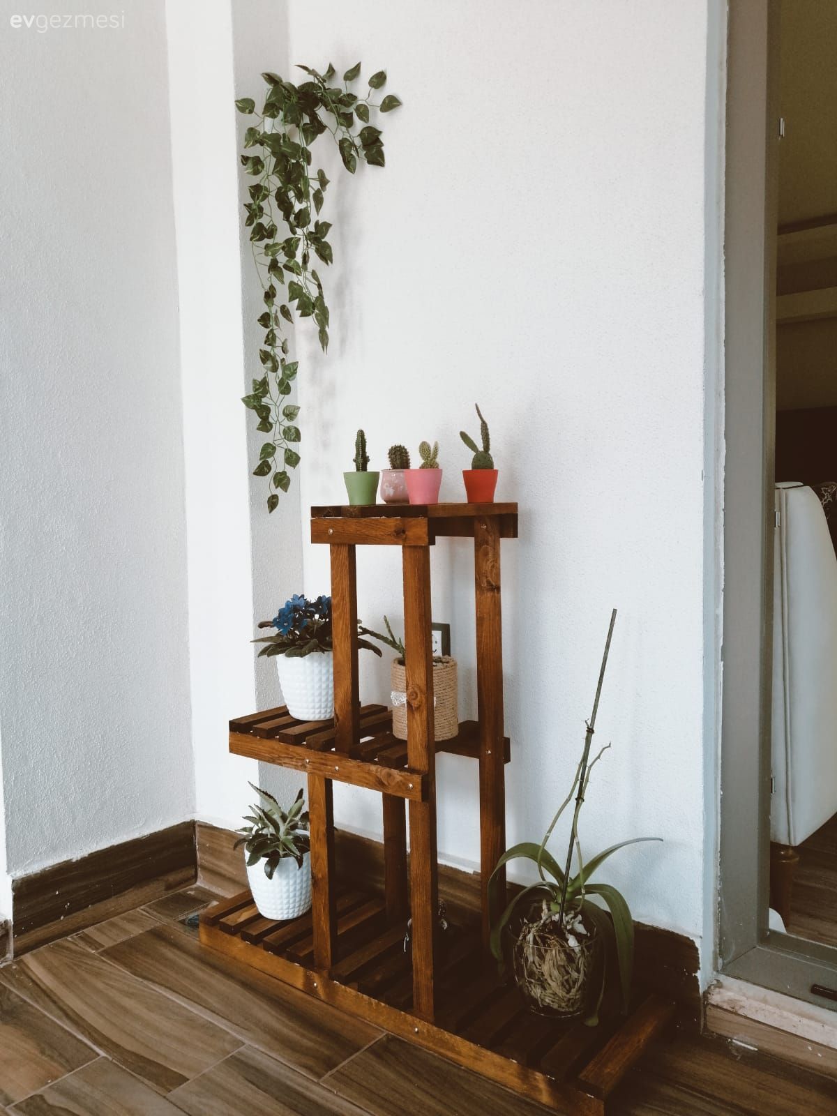 Ev bitkisi, Kahverengi, Çiçeklik